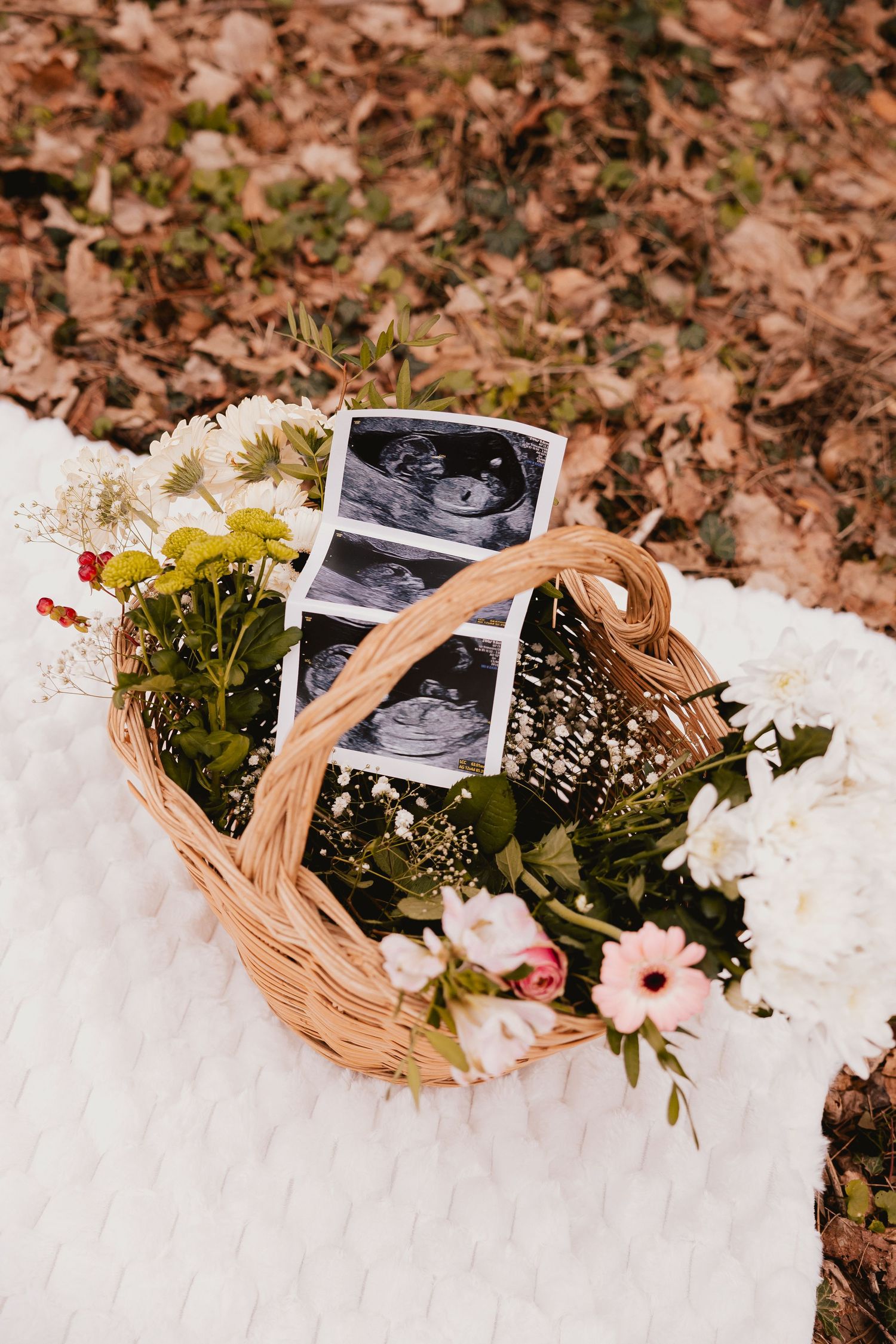 L'échographie dans un panier de fleurs, annonce de grossesse toute douce en photo