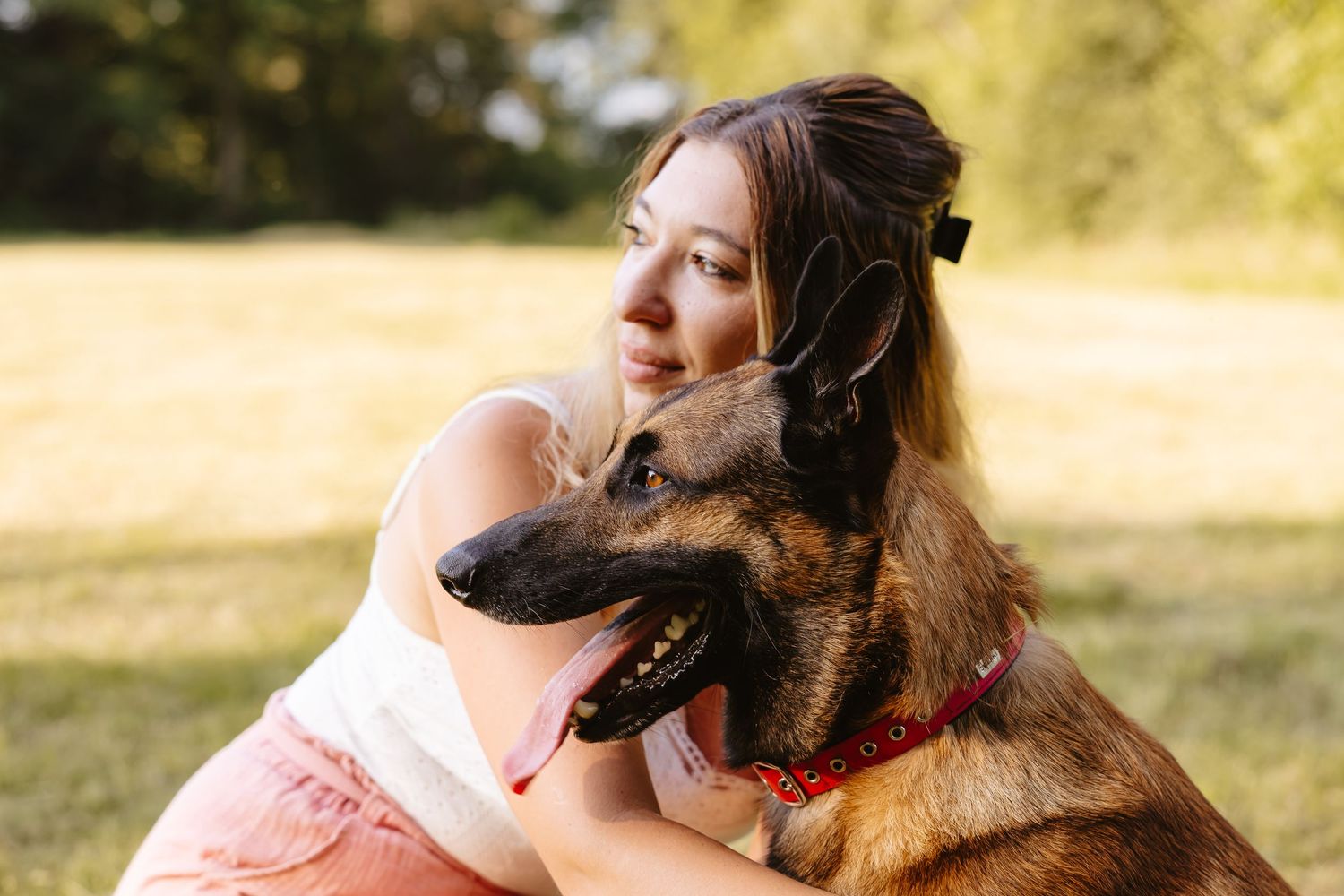 A German Shepherd dog lovingly nuzzles against someone while enjoying a sunny afternoon outdoors.