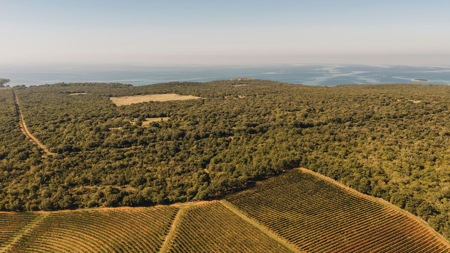 Destination wedding photography Istria 
Wedding in Istrian countryside Croatia