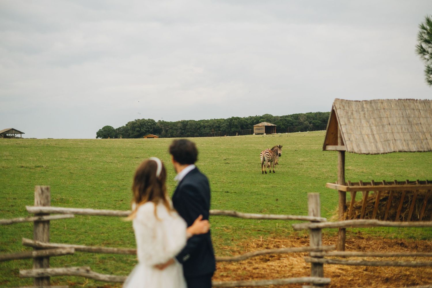 Brijuni Wedding Photography, Istria Wedding Photographer, Croatia Wedding Photographer, Porec wedding photography, Brijuni Wedding