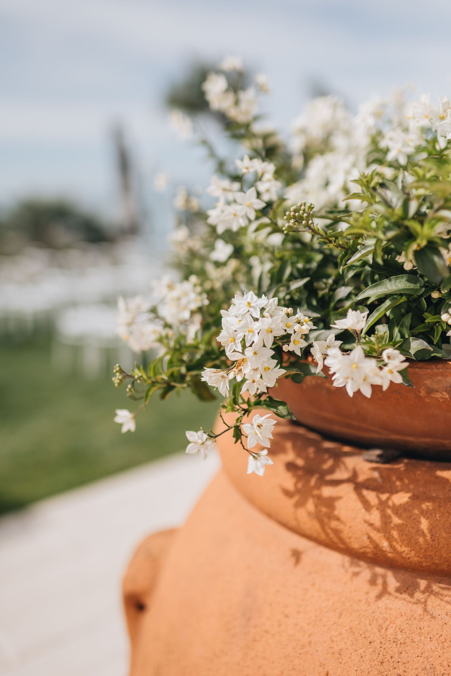 Italy wedding photography, Wedding photographer in Istria, Wedding in Italy, Italy wedding photography, Wedding photographer in Istria