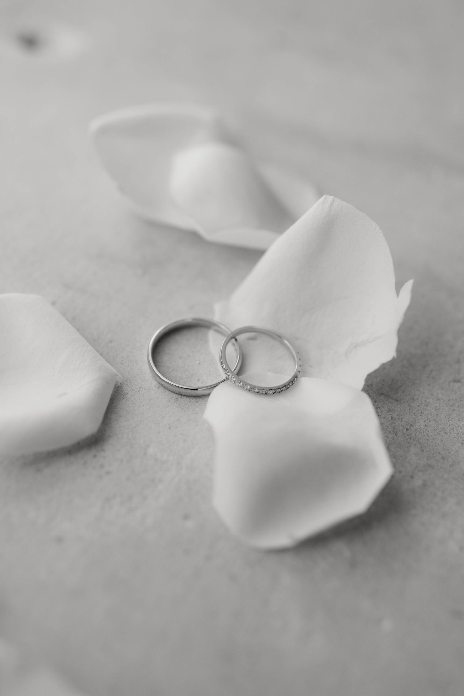 Wedding Photography Istria, Croatia, Wedding photographer Croatia, Rovinj Wedding Photography, Paladnjaki wedding, getting ready photography