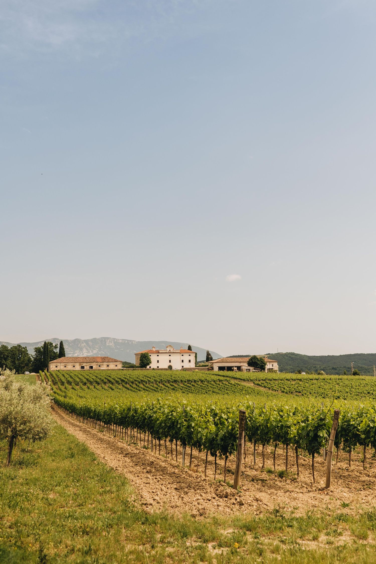 Istria Wedding Photographer, Croatia Wedding Photographer, Porec wedding photography, Belaj Wedding