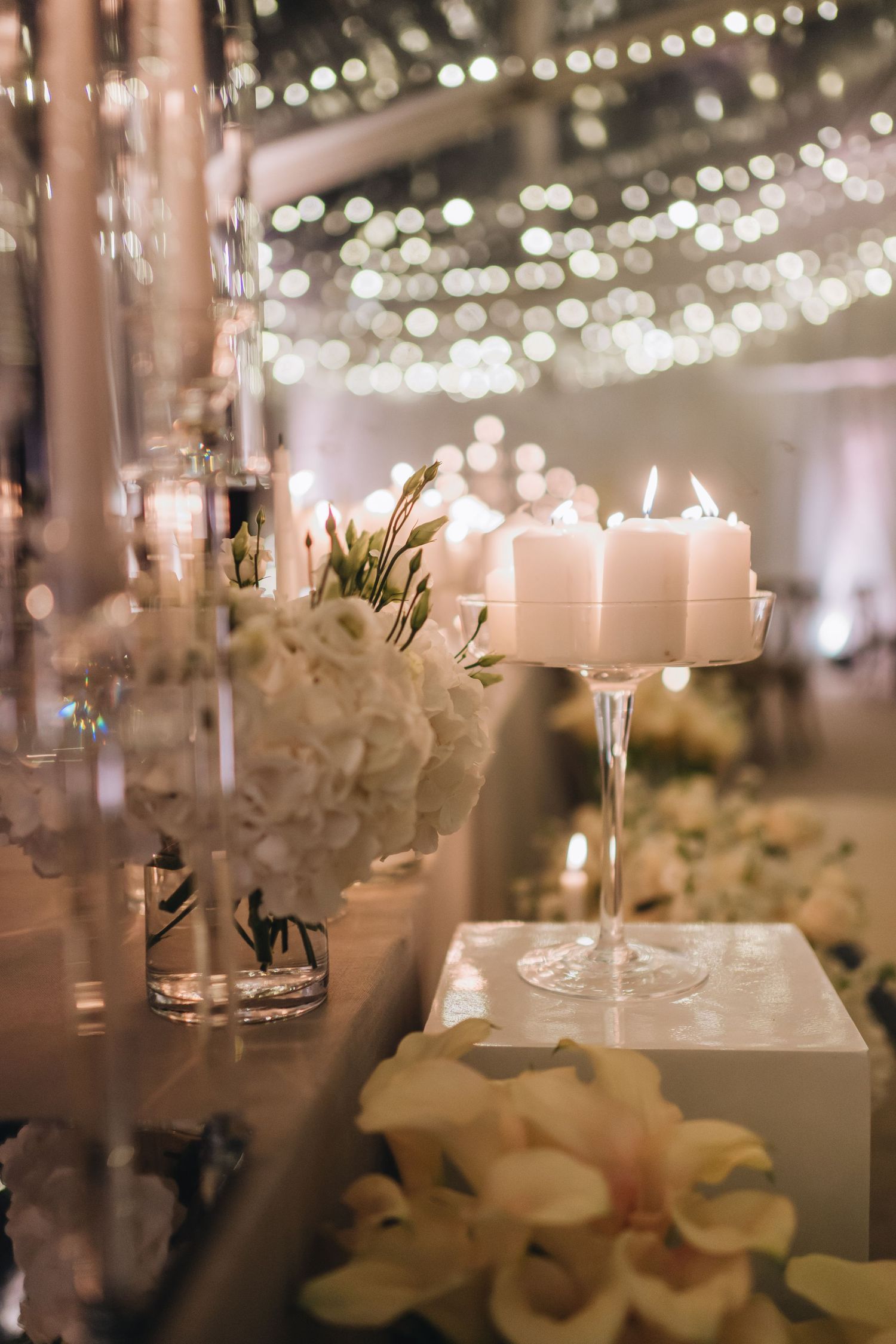 brijuni wedding photographer, istria wedding photographer, istria destination wedding, rovinj wedding photographer