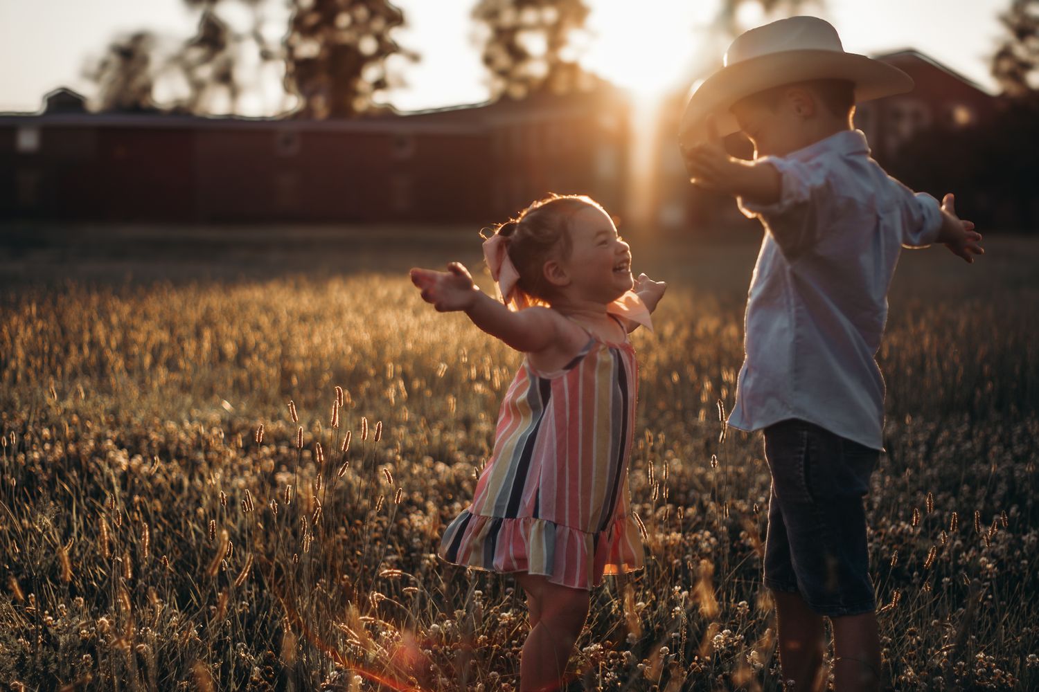 Silhouettes of people walking through a golden field at sunset with warm backlighting and soft natural glow.