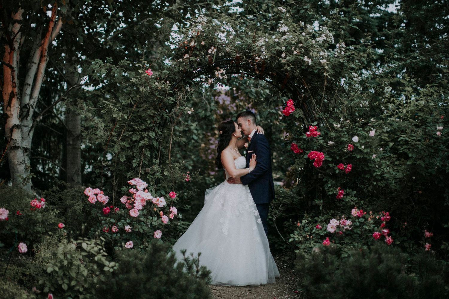 A romantic wedding moment captured in a garden surrounded by blooming pink roses.
