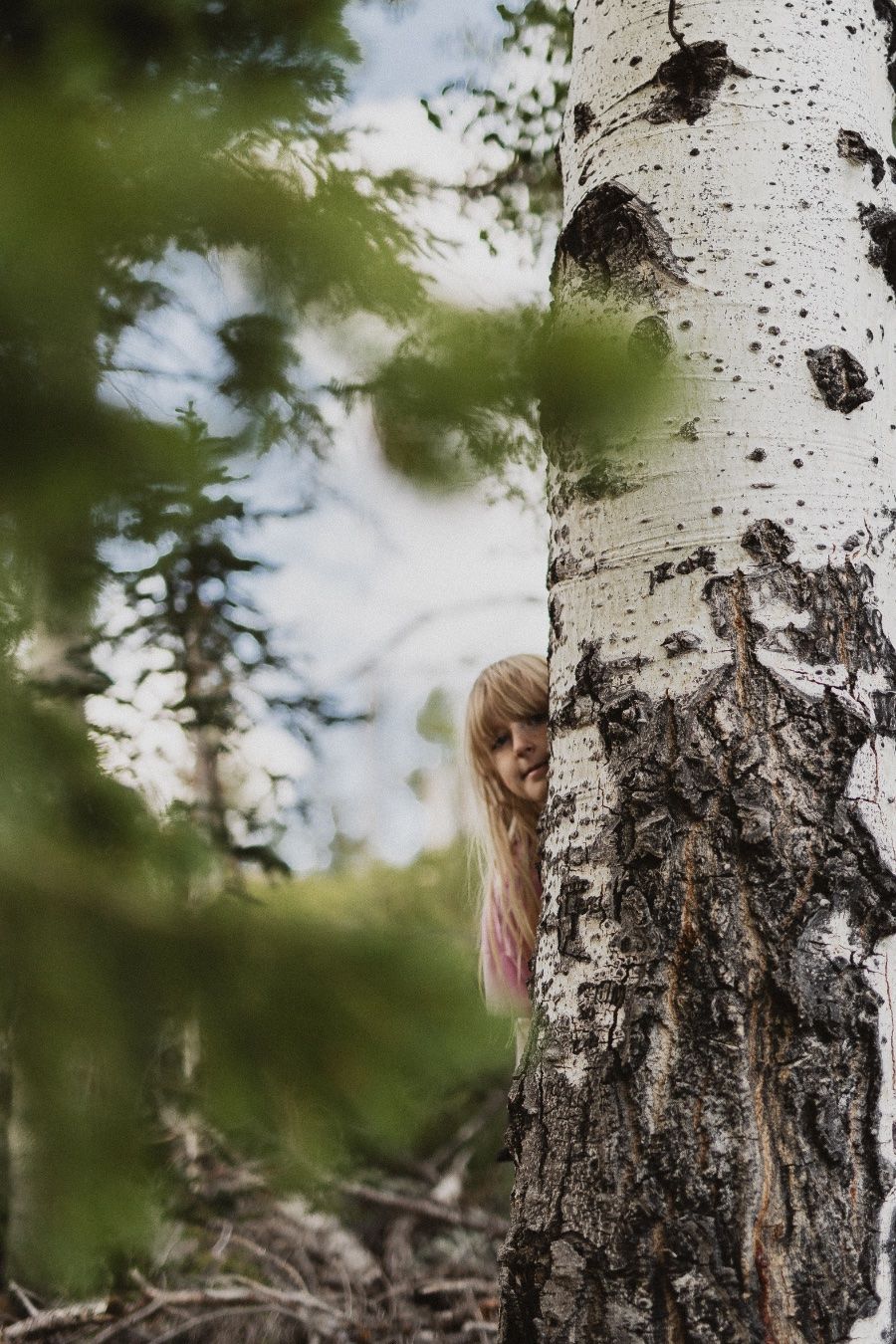 A girl with pink hair peeks curiously from behind a white birch tree in a lush green forest.