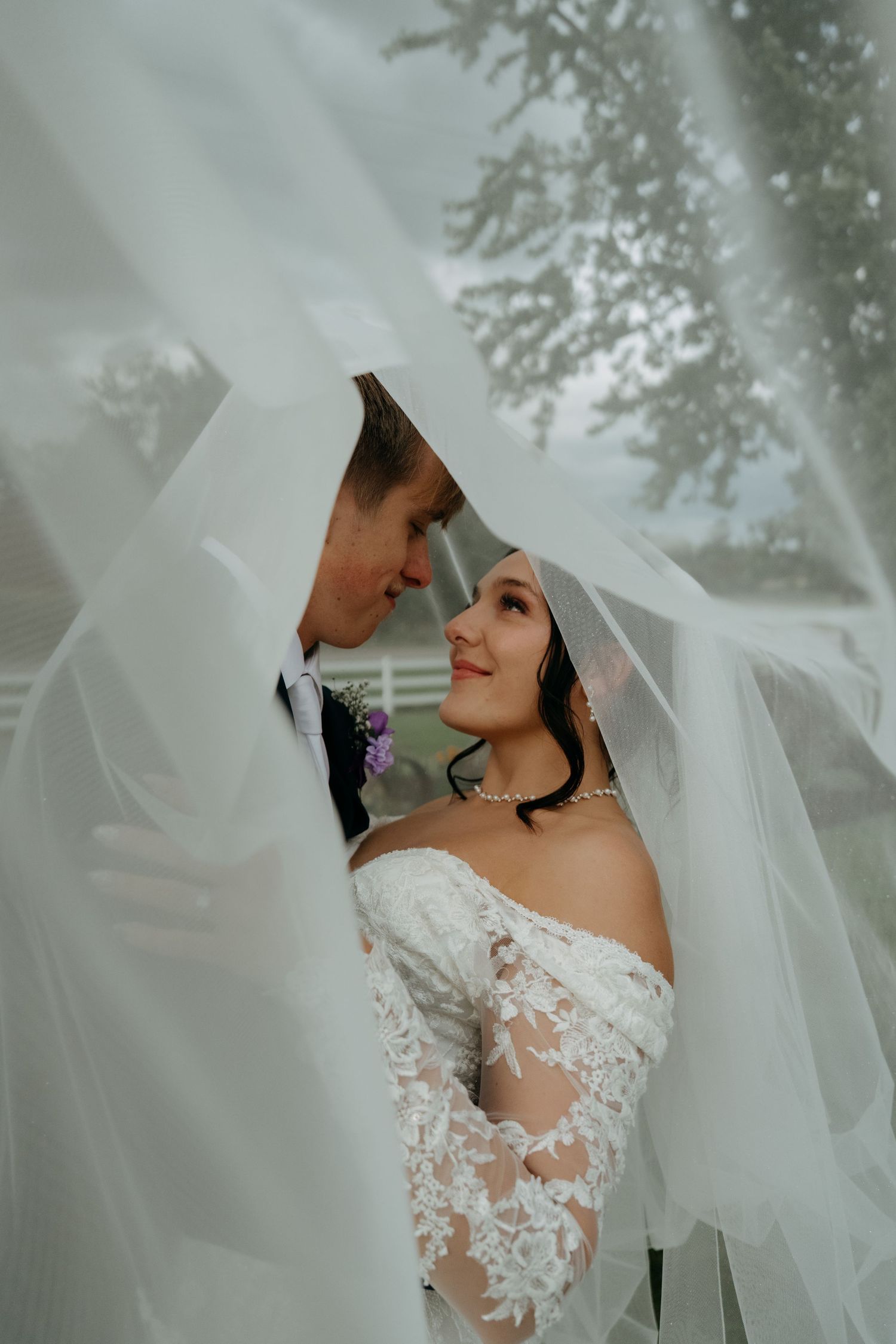 A romantic wedding portrait series showing tender moments under a flowing white veil against a soft, dreamy background.