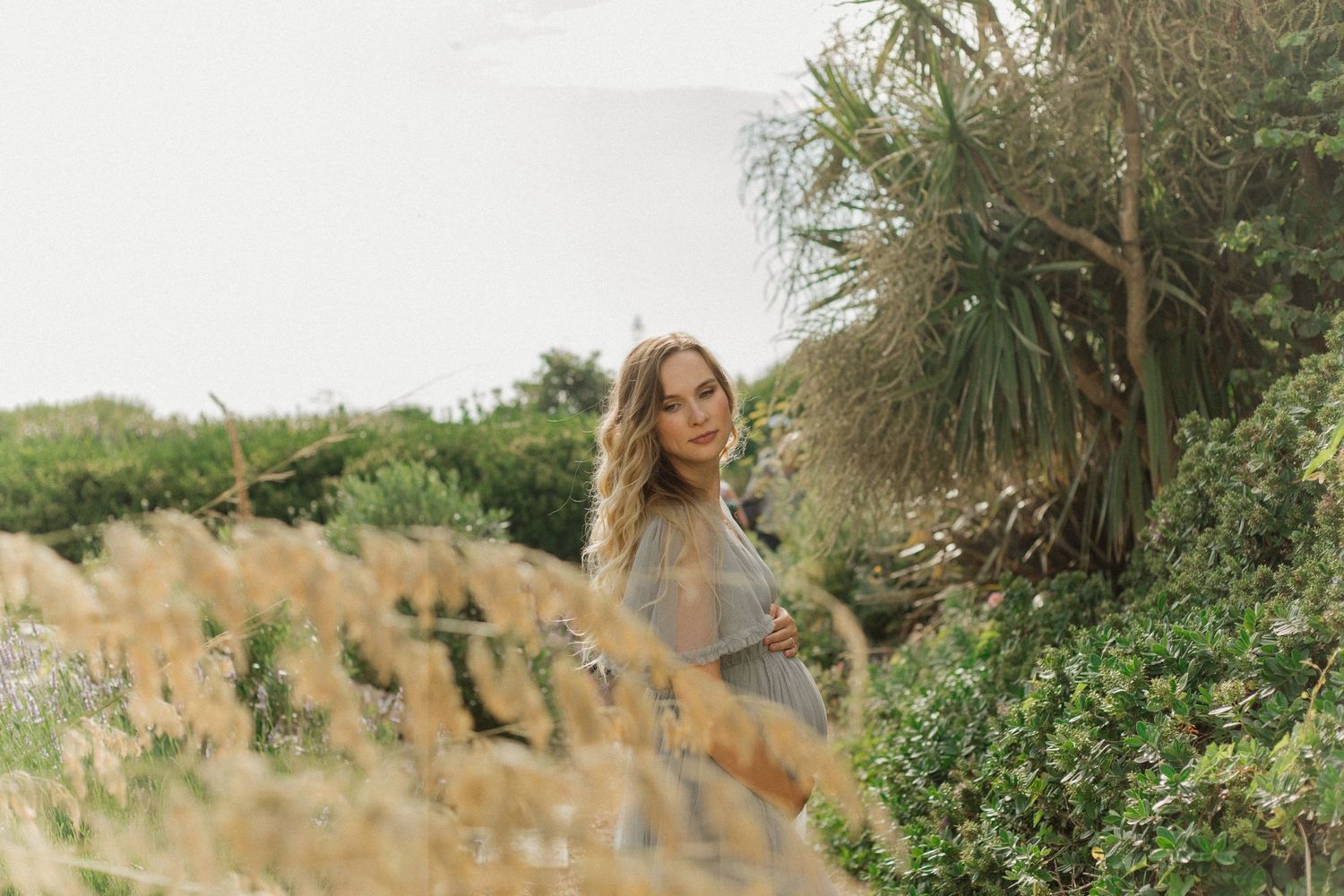 A maternity photo in a scenic view of desert plants and palm trees growing along a sandy coastal path on a sunny day.
