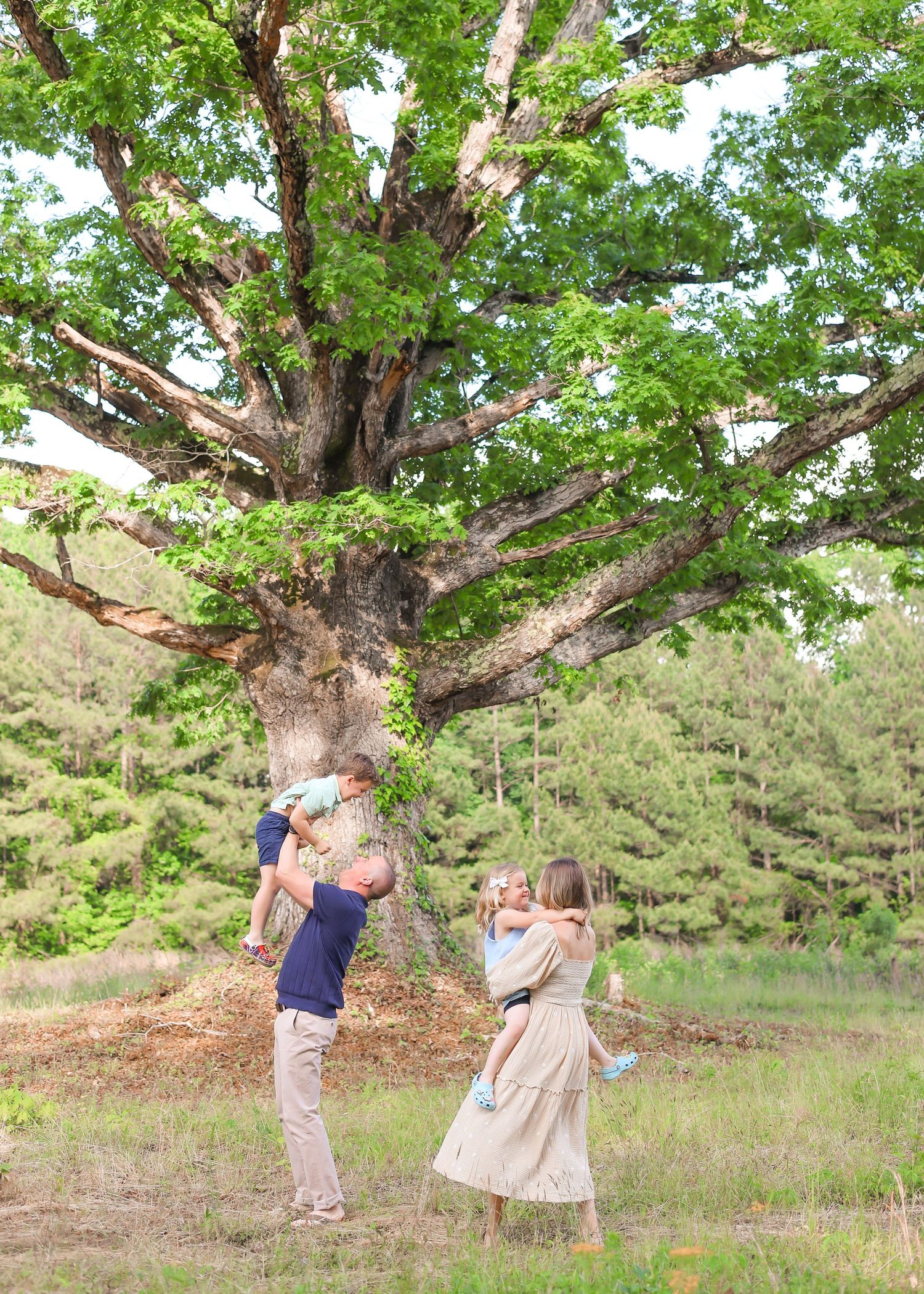 large family photos, wall hanging photos, outdoor photos