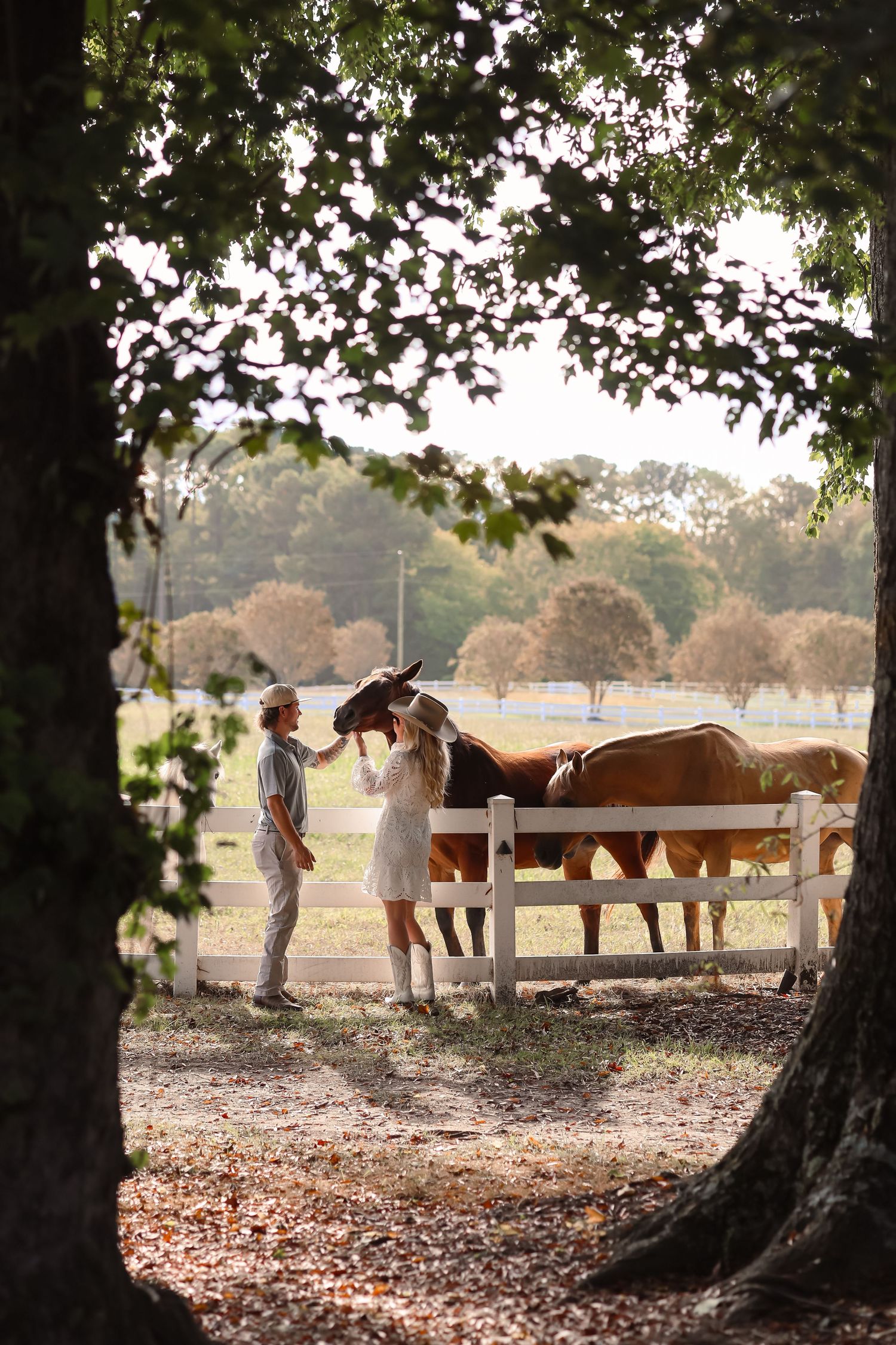 engagement, engagement session, proposal, fall photos