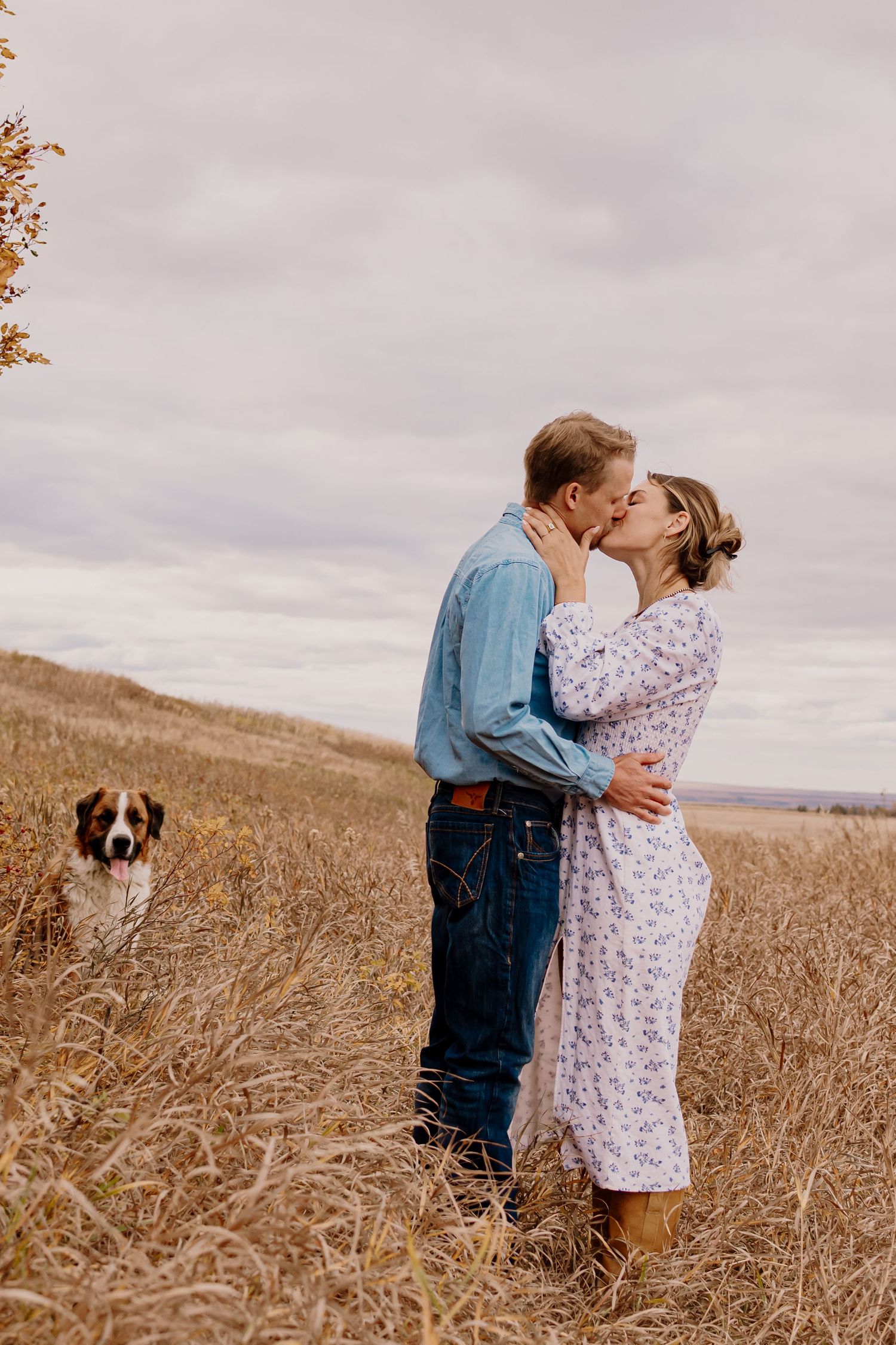 A couple shares an intimate moment together in a golden wheat field under an overcast sky.