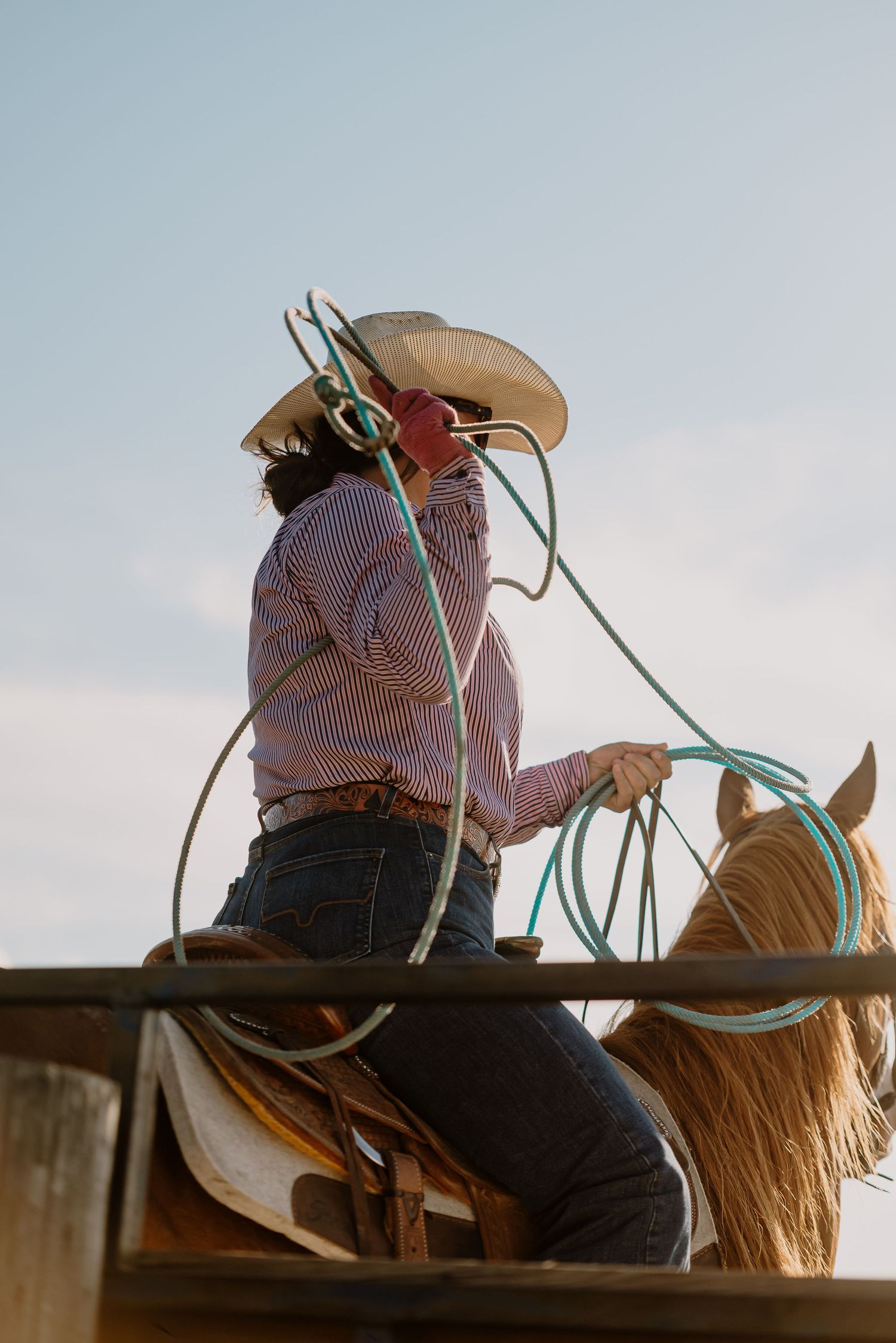 A person wearing a checkered shirt and cowboy hat sits atop a horse in a series of silhouetted profile shots.
