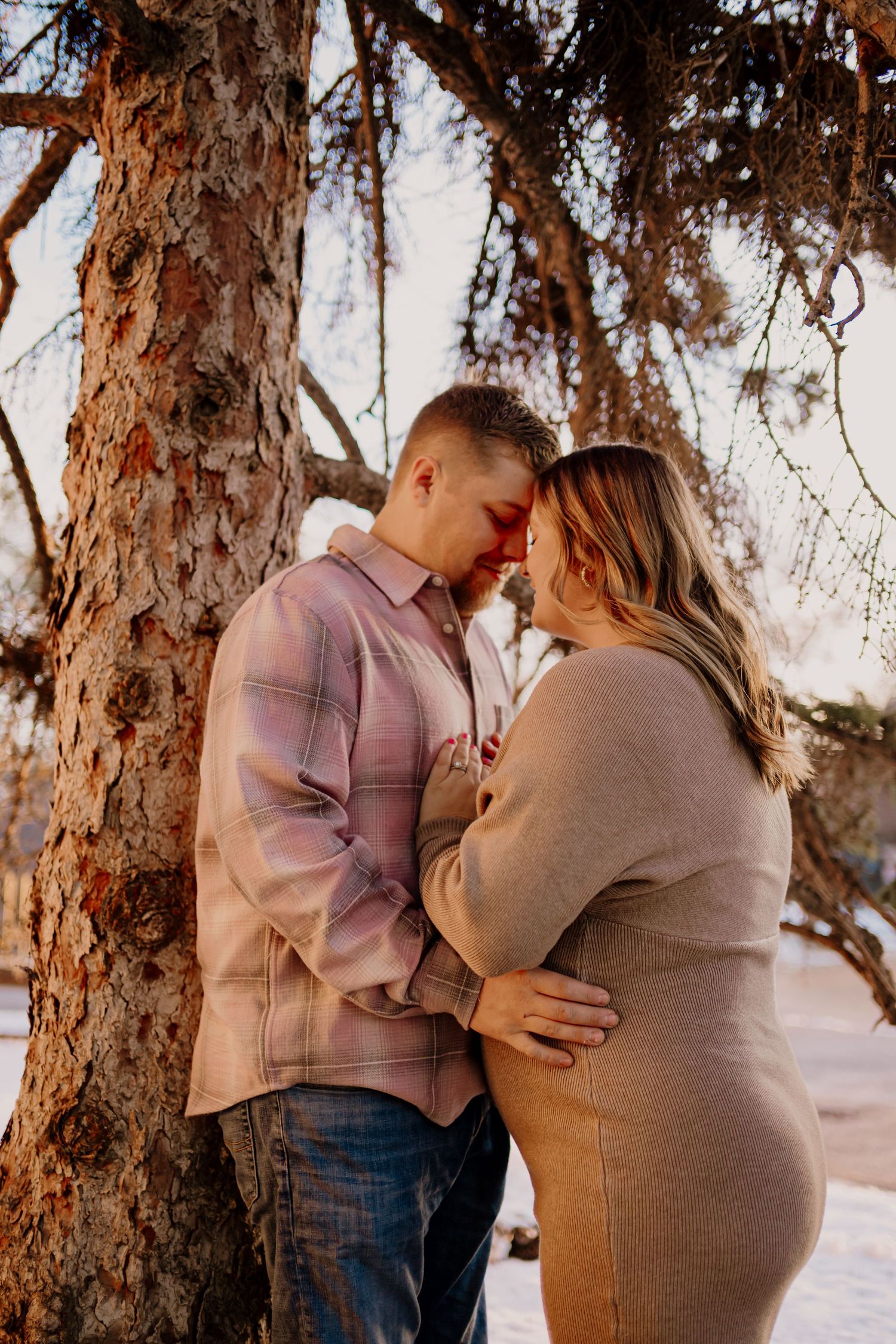 A romantic winter maternity photo session shows a couple embracing tenderly beneath snow-covered evergreen trees.