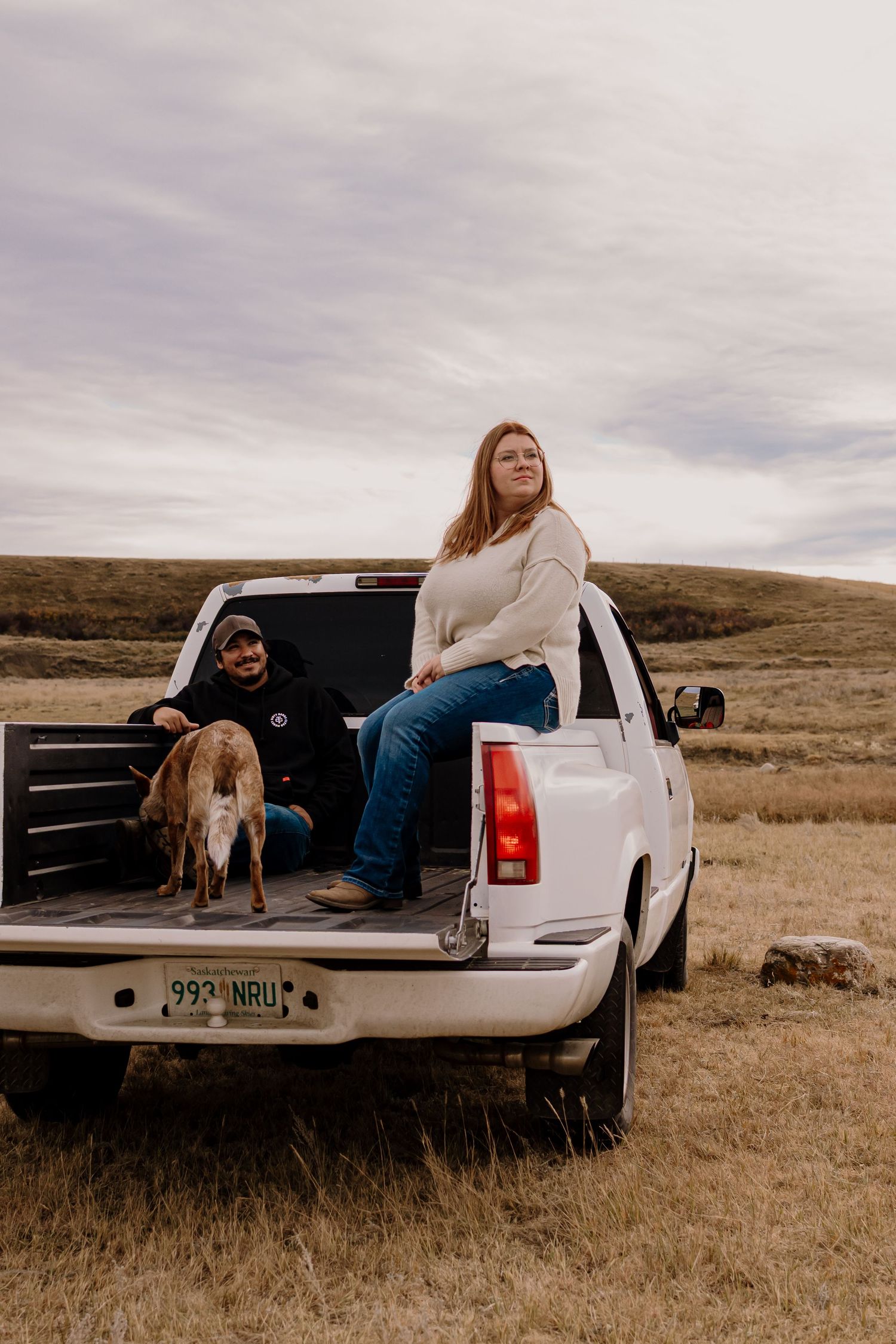 A sequence of photos showing a person and dog sitting in the back of a white pickup truck in a rural field.