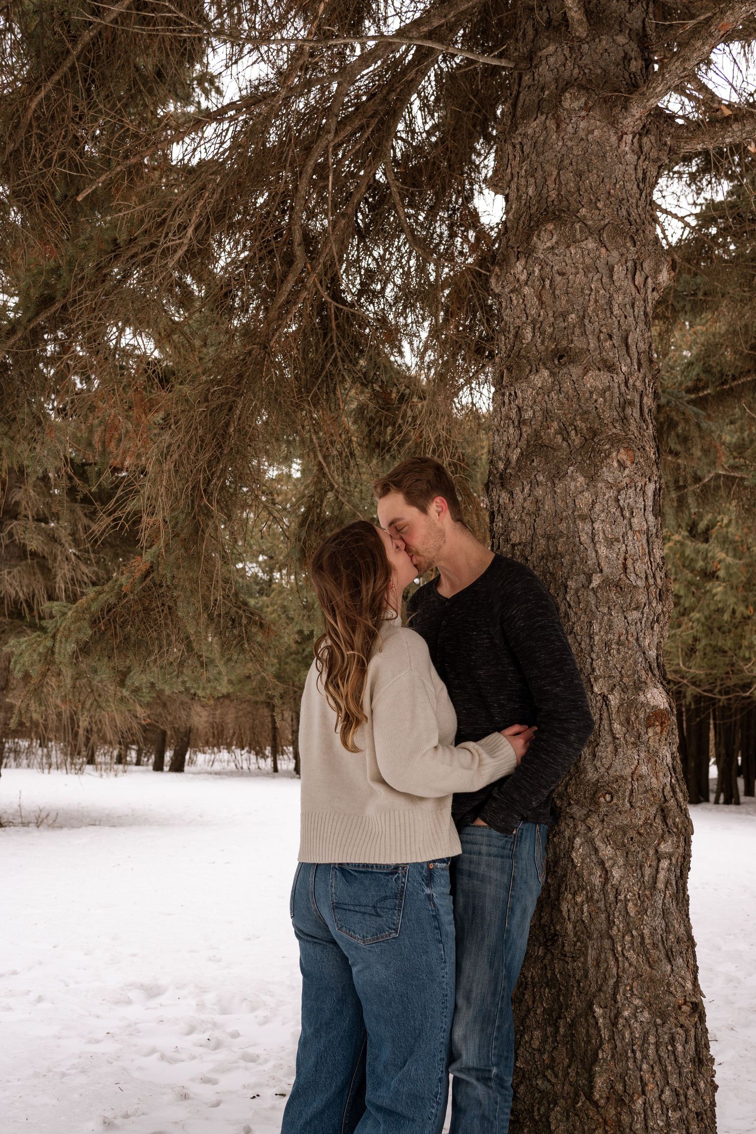 Couple kissing beside a large pine tree in a snowy winter park, wearing casual sweaters and jeans.