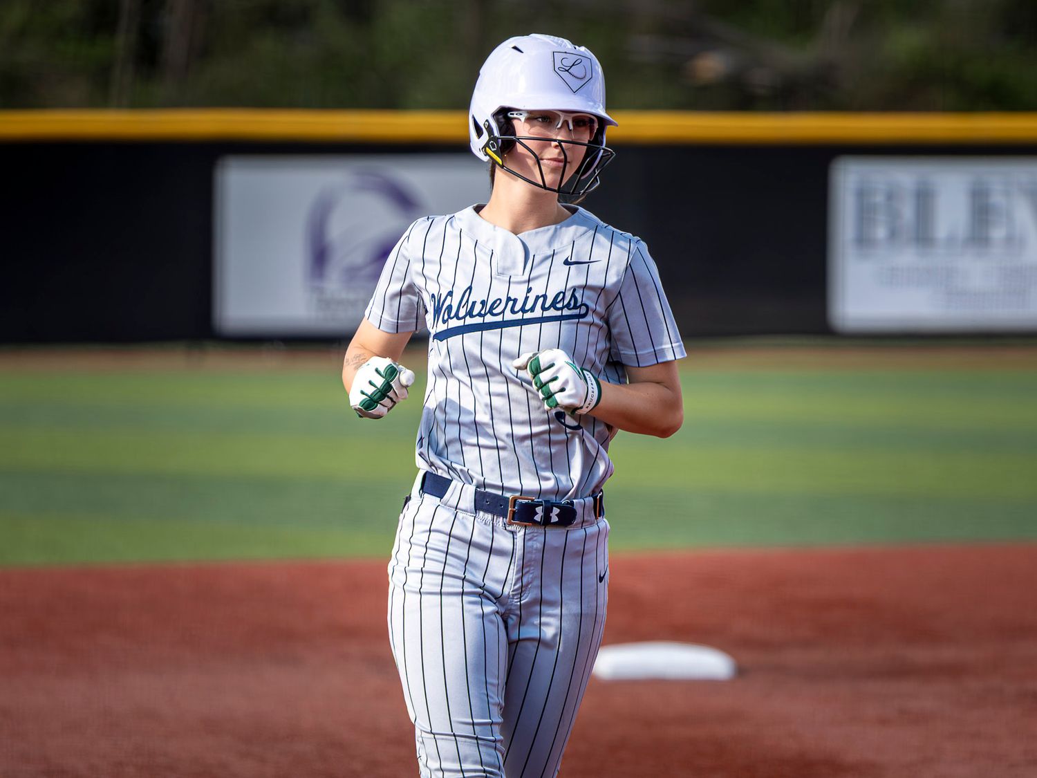 Softball player in a white Wolverines pinstripe uniform, helmet and batting gloves, jogging on the infield dirt during a game.