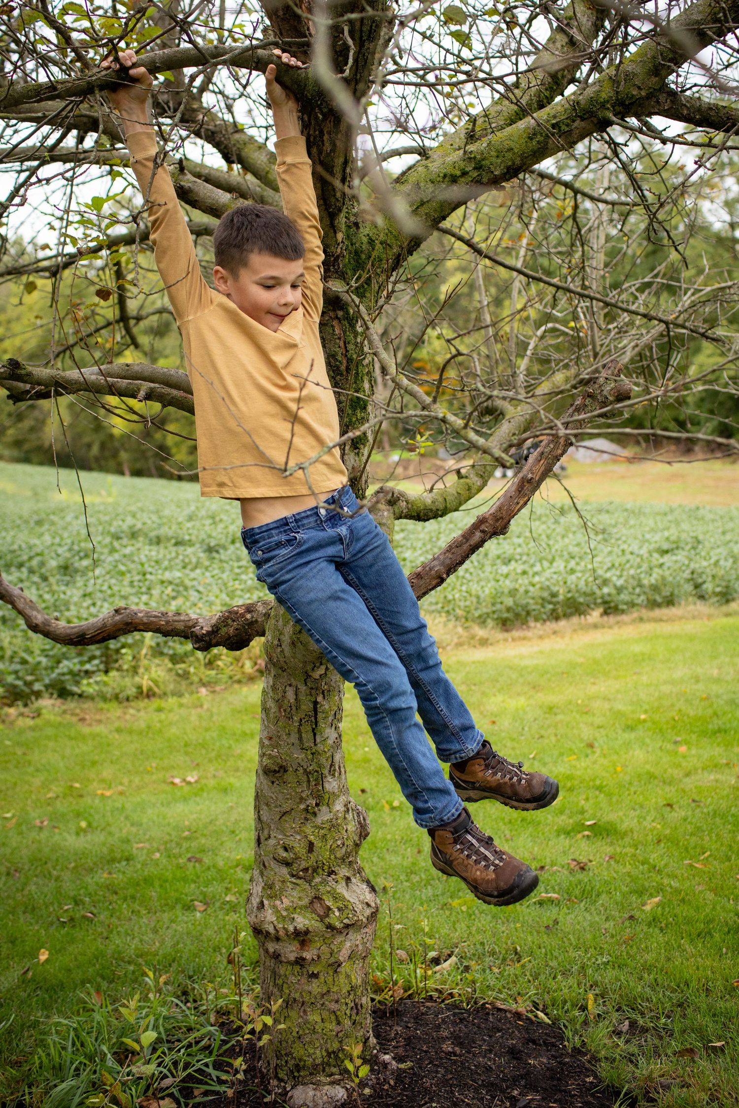 A series of photos showing legs dangling from a tree branch in a grassy outdoor setting.