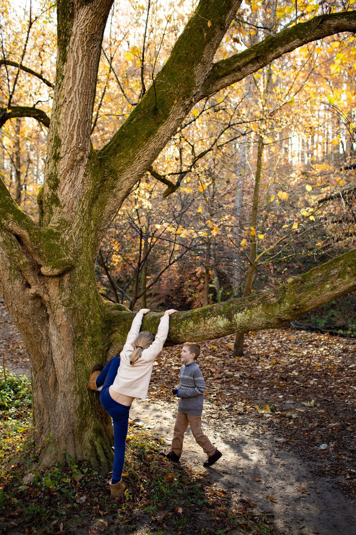 Two people walking along an autumn forest trail surrounded by golden leaves and tall trees.