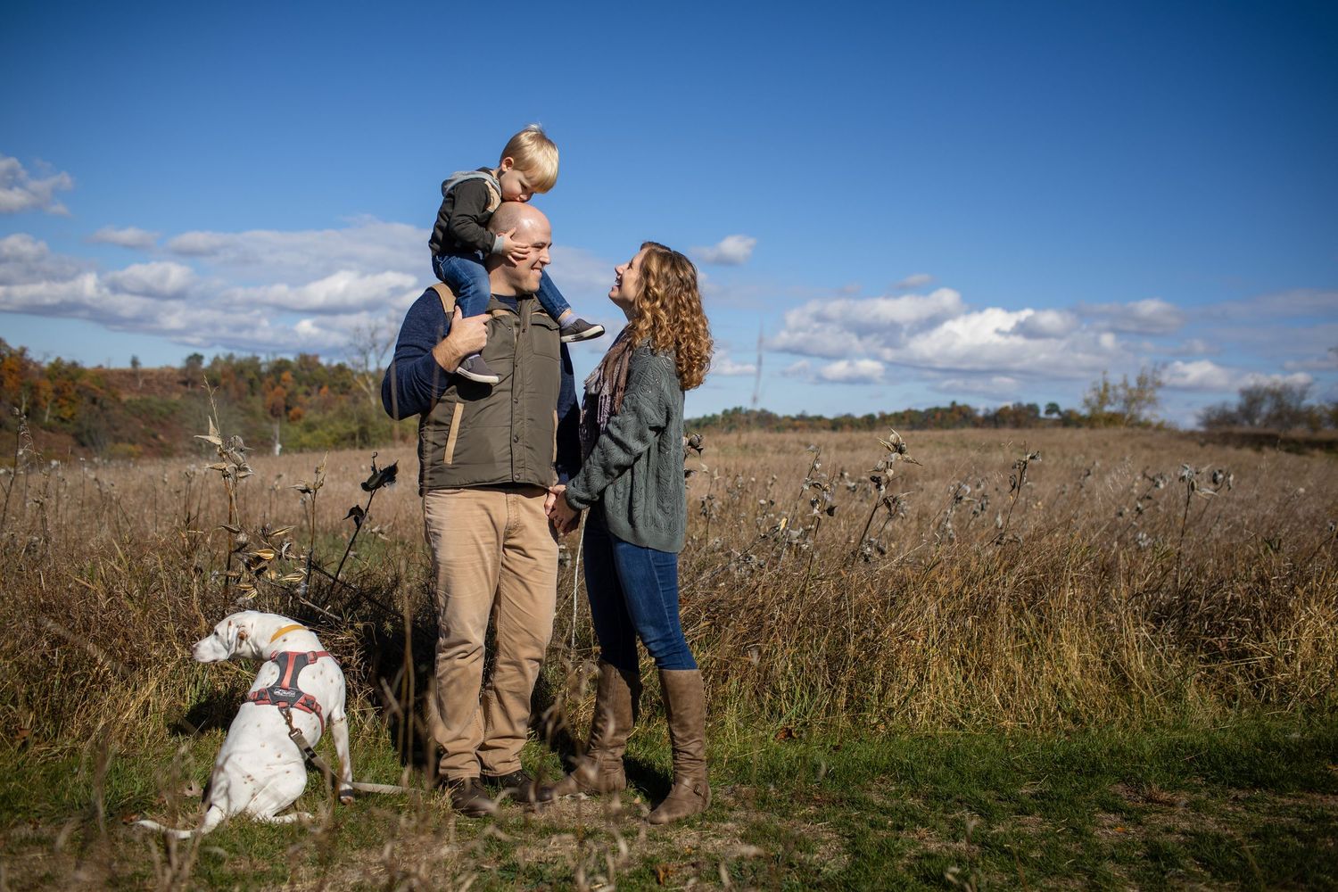 A hunting dog and its owner walk through tall grass in an autumn field on a sunny afternoon.