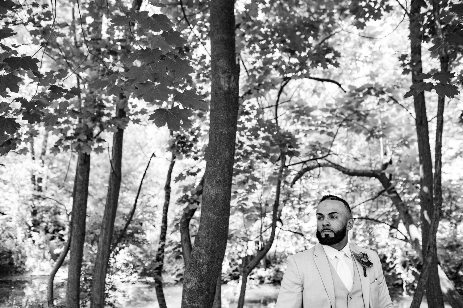 Groom in light grey suit standing thoughtfully among tall trees in a serene woodland setting.