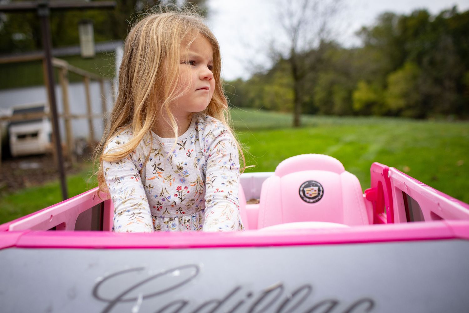 Pink toy car parked on grass with trees in the background.