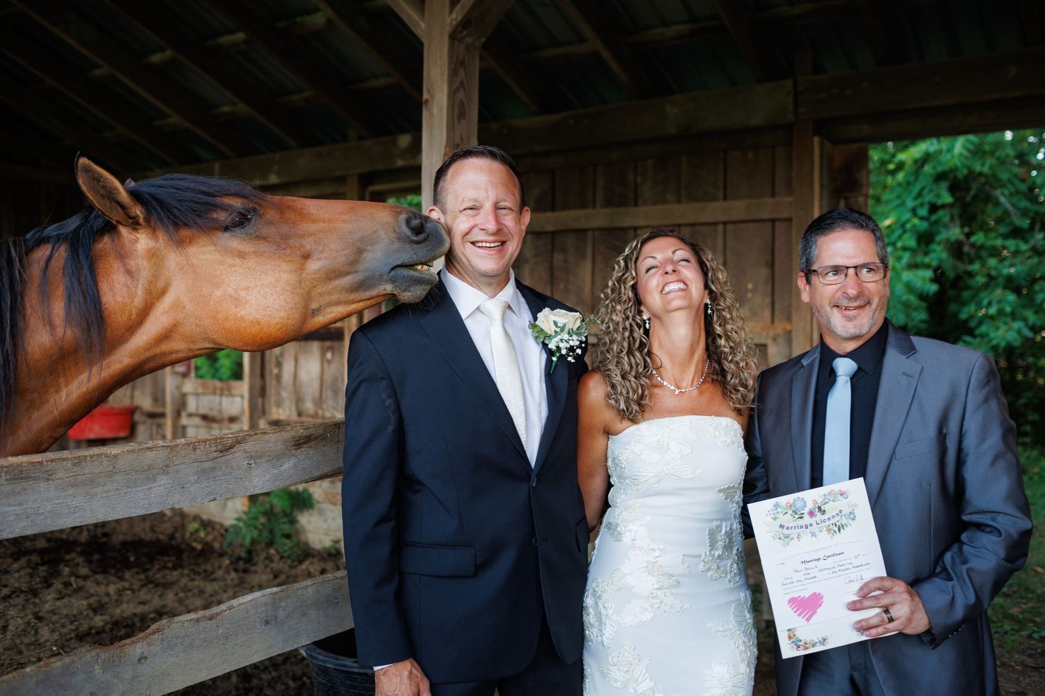 Laughing bride and groom pose with officiant as a horse photobombs their outdoor barn wedding portrait.