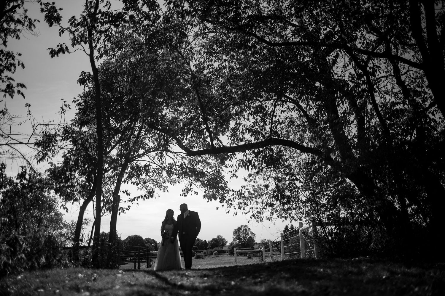 Silhouetted couple stands beneath tree canopy in dramatic black and white shot at sunset.