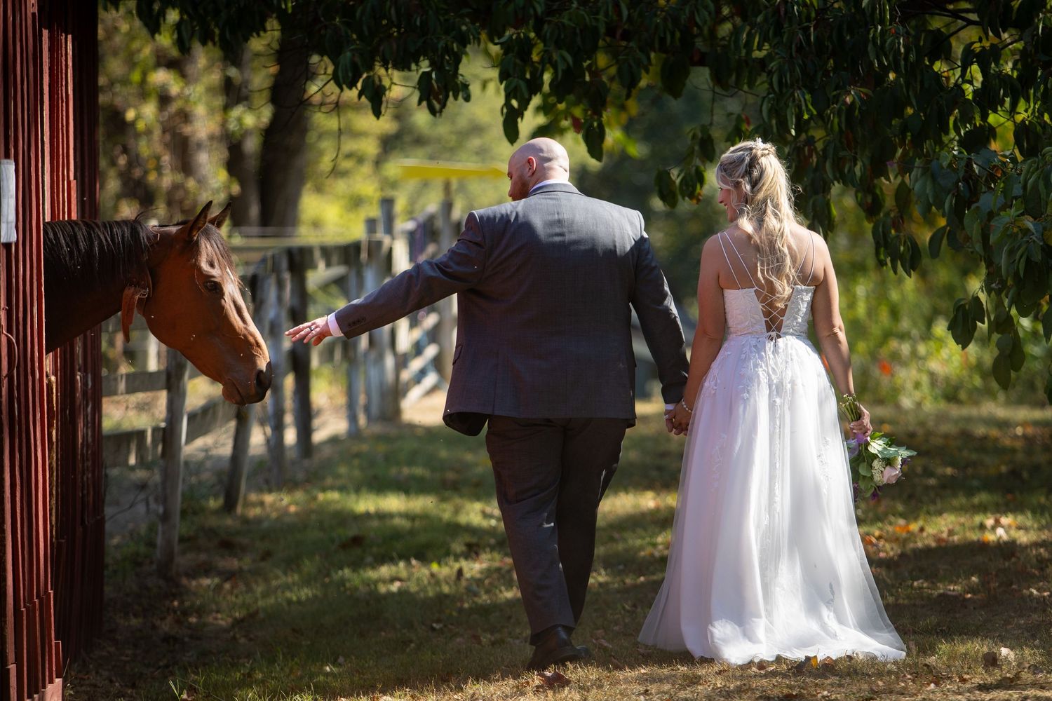 A couple in wedding attire walks beside a barn stable while a curious brown horse peeks out to greet them.