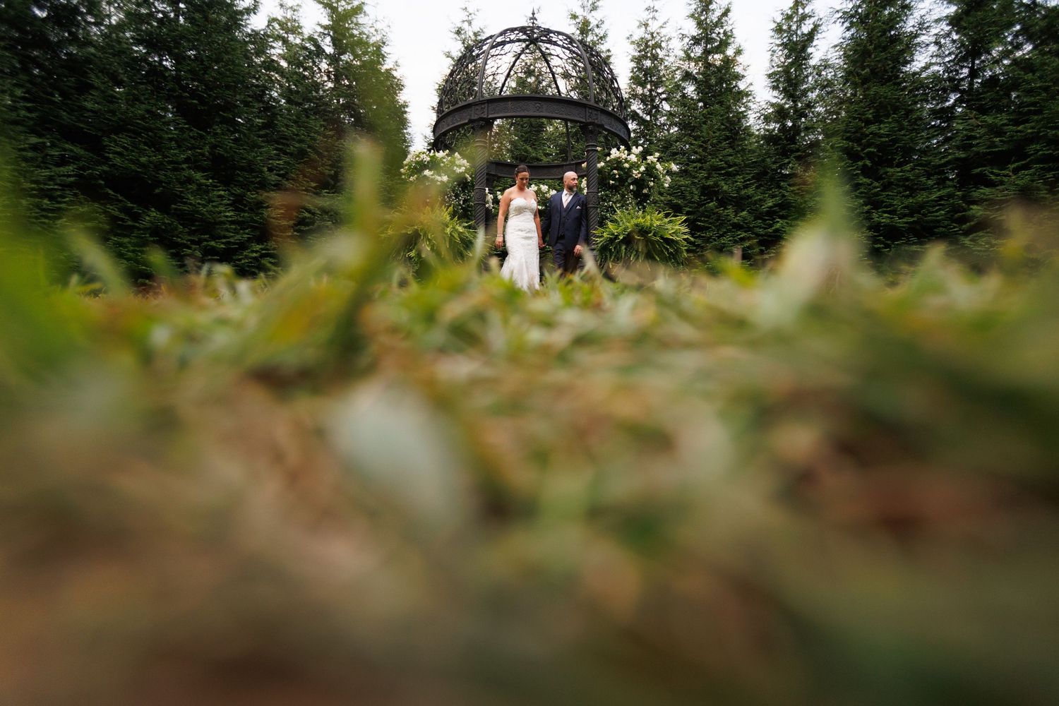 Wedding party walking through evergreen forest path with sunlight filtering through trees.