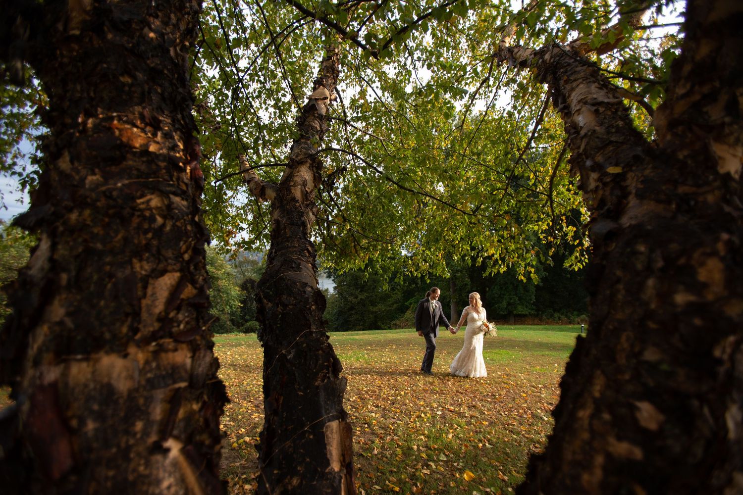 A couple shares a romantic moment in a sunlit garden framed by dark tree trunks.
