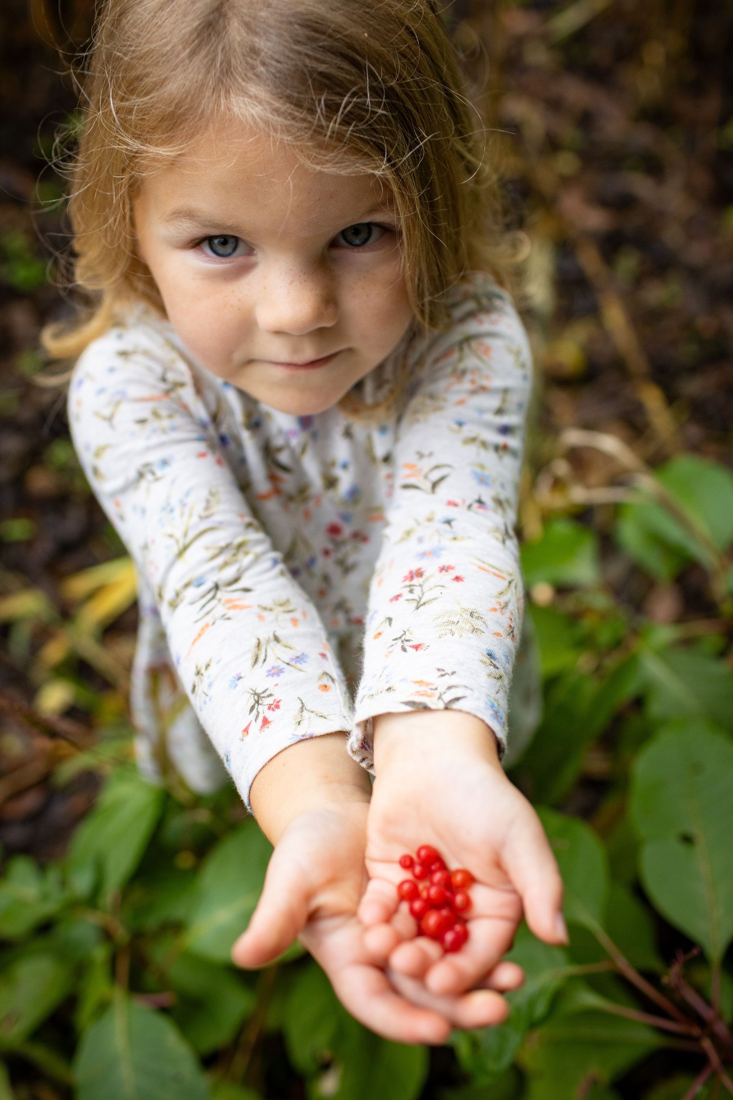Small hands hold fresh red berries gathered from nature against a forest floor background.