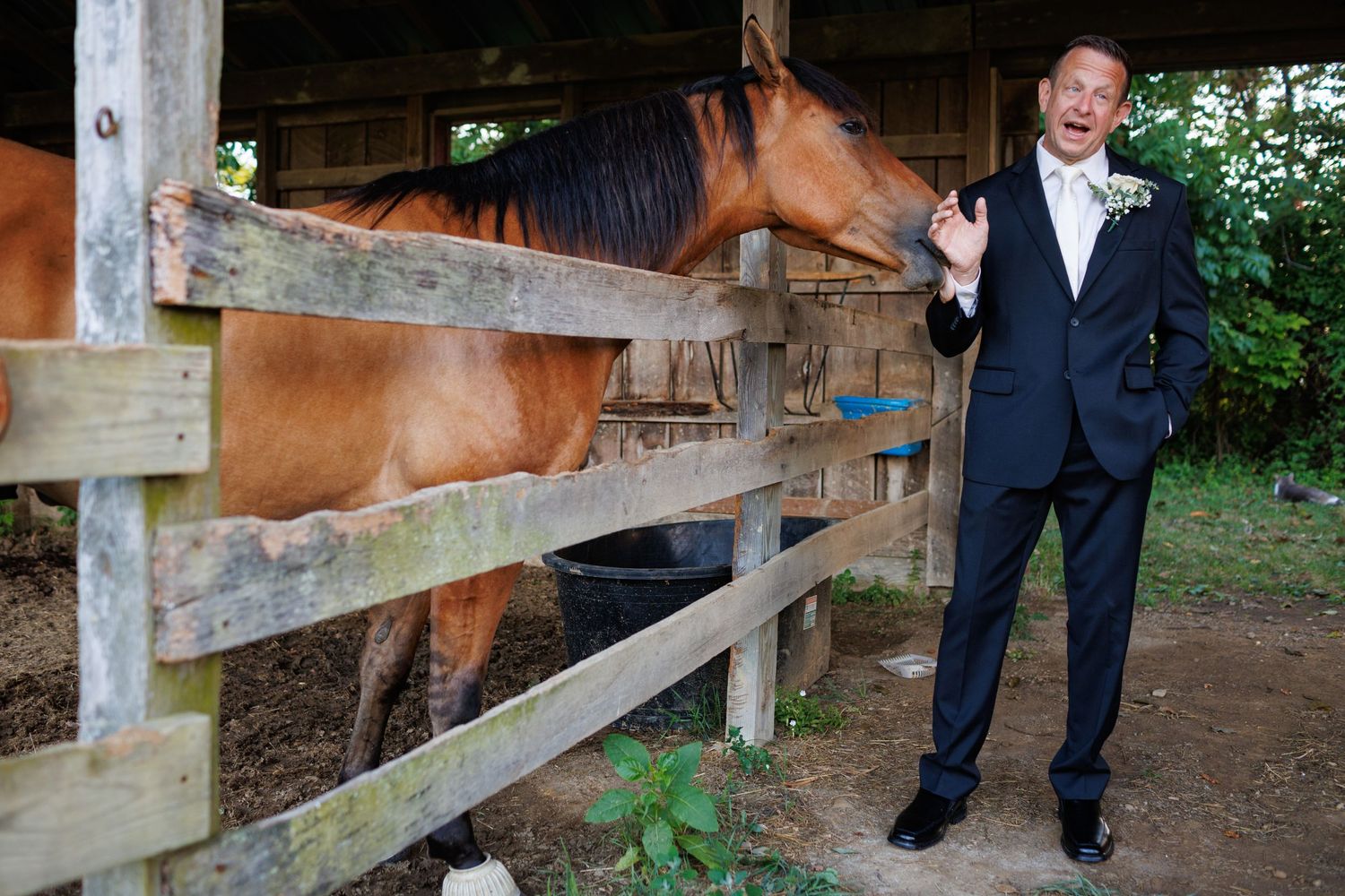 Groom in black tuxedo smiling beside a brown horse at a rustic barn wedding venue.