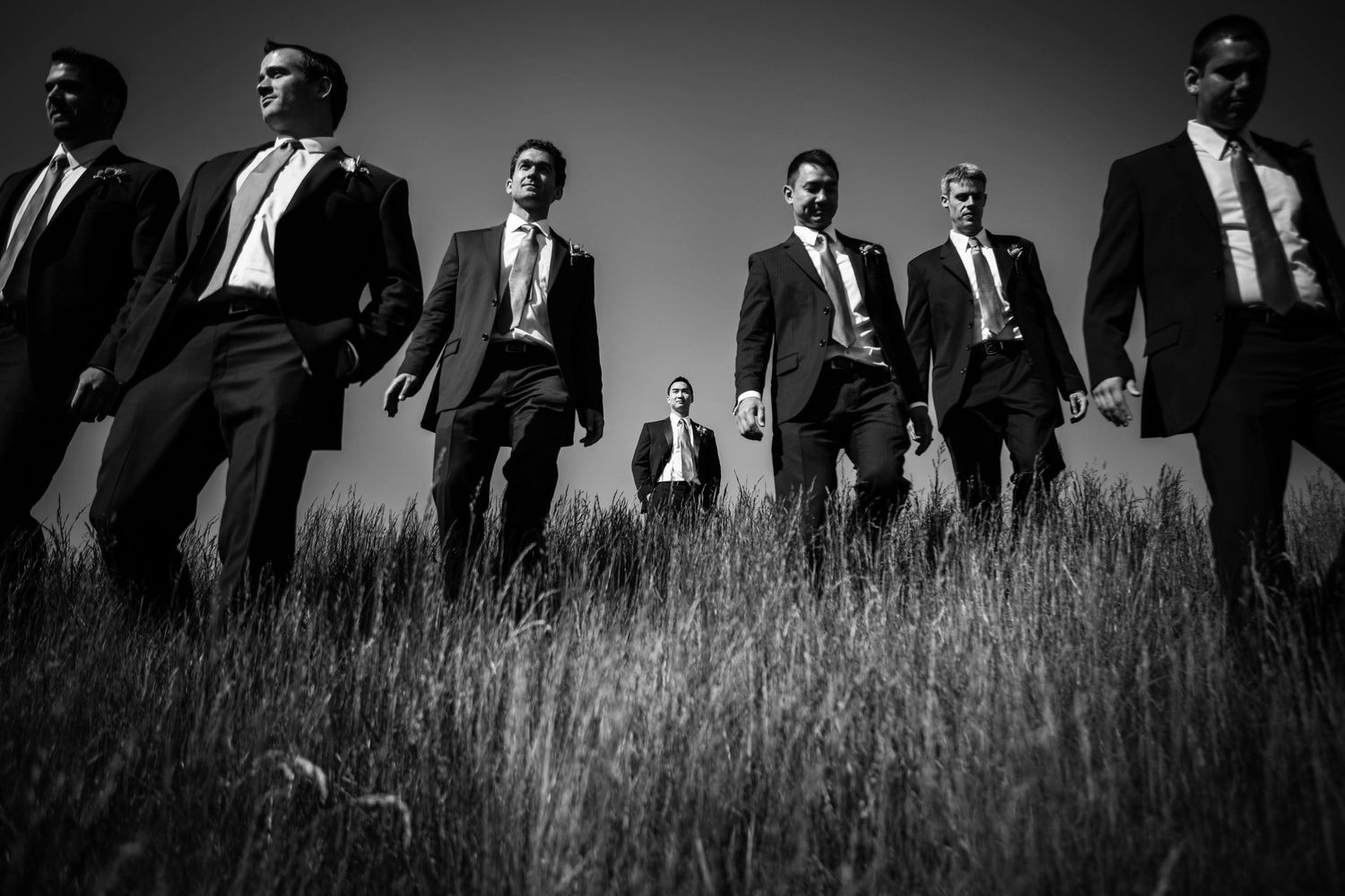 Groomsmen in dark suits stand in tall grass field creating silhouettes for dramatic wedding photographs.