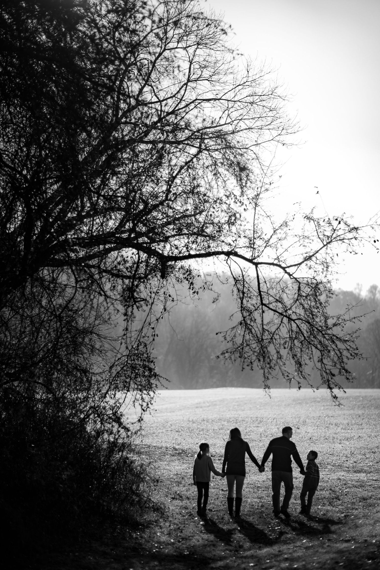Silhouettes of people walking together in a misty field at dusk with bare tree branches overhead.