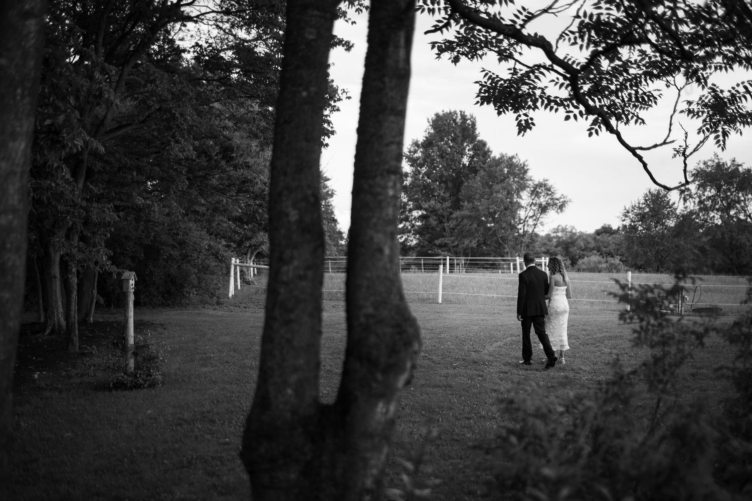 Black and white photo of a couple embracing in a serene park setting surrounded by tall trees and open fields.
