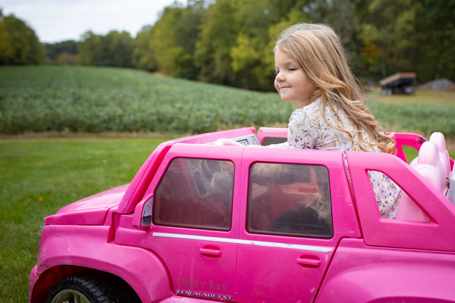 A bright pink toy car sits in a grassy field during autumn.