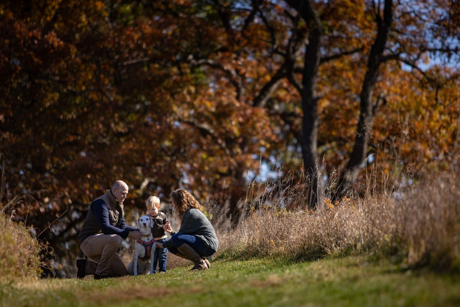 A scenic autumn hiking trail winds through colorful fall foliage with people enjoying the outdoors in the distance.