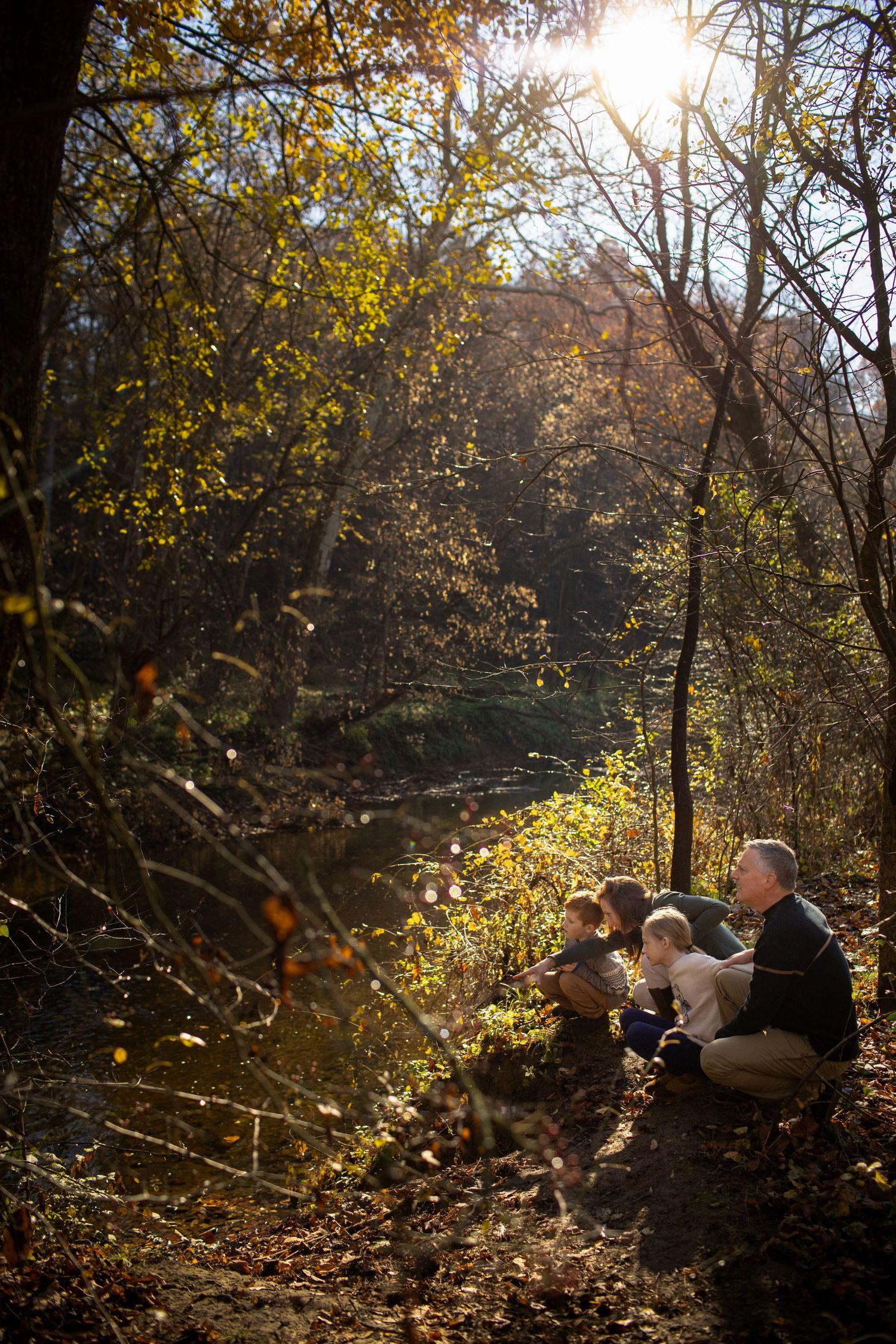 Sunlit autumn forest scene with people creating silhouettes among golden leaves and branches.