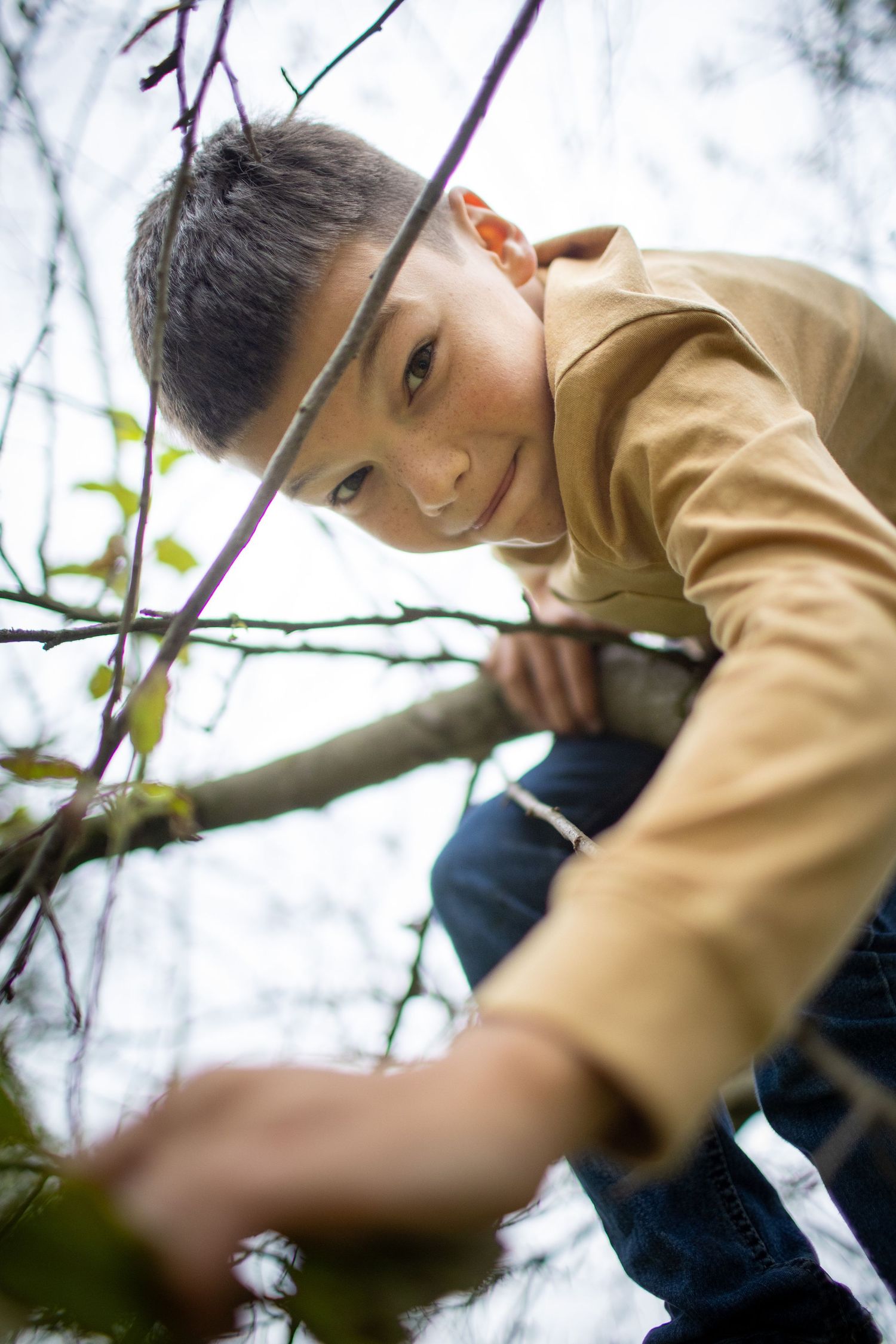 Low angle view of someone climbing and exploring tree branches in a yellow sweater.