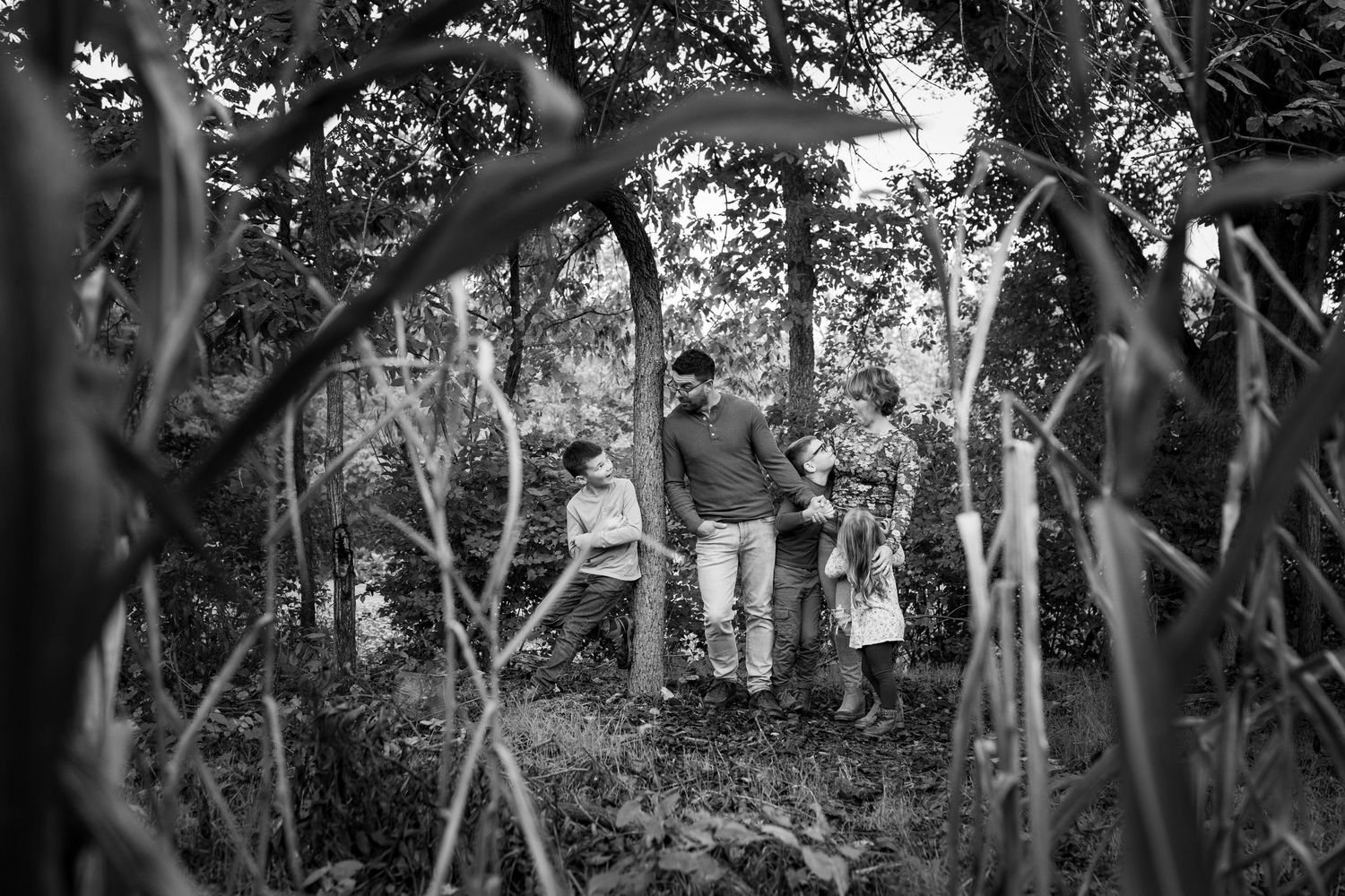 A black and white forest scene with dense tree branches and leaves creating a natural canopy pattern.