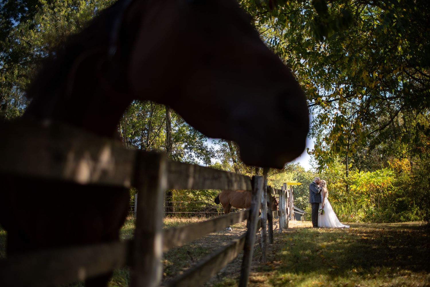 A scenic wedding ceremony setup in a garden with white chairs and natural sunlight filtering through the trees.