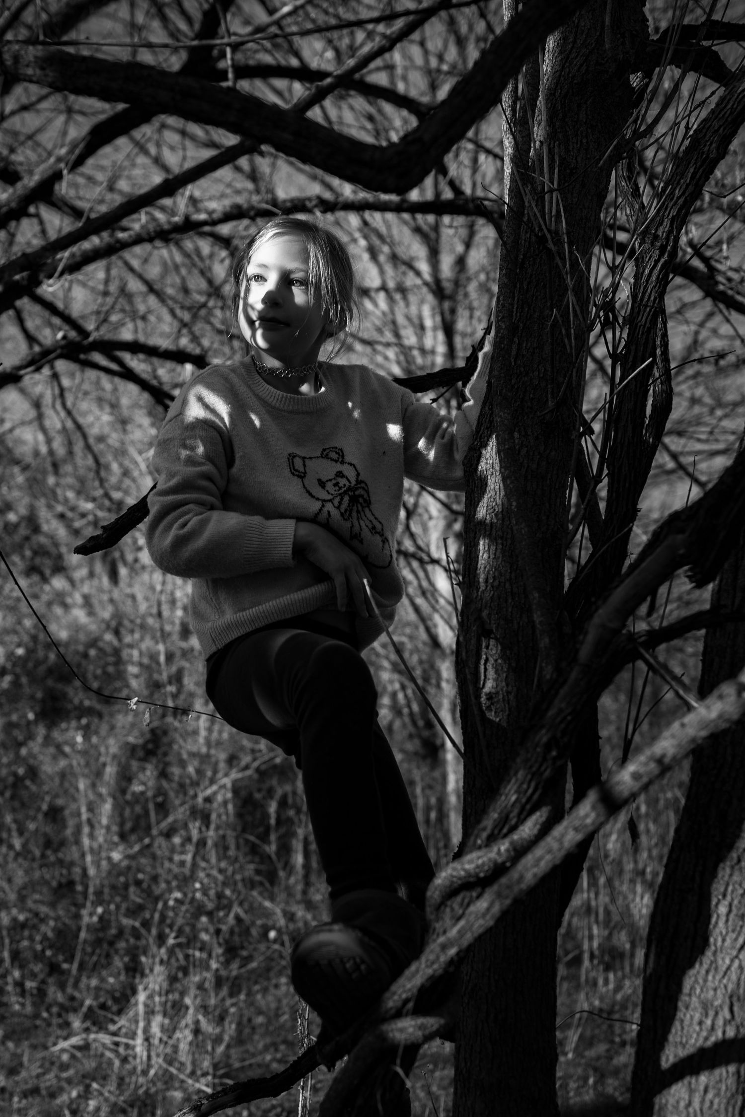 A sequence of black and white photos shows someone climbing up a large tree trunk in a forest setting.