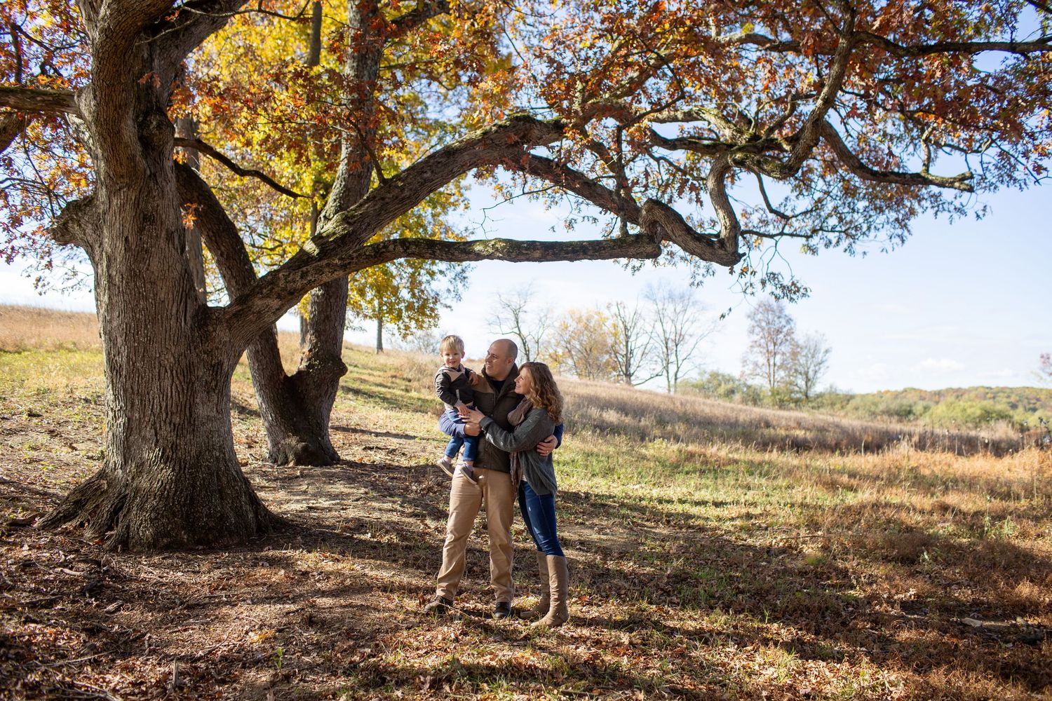 A series of fall photos showing people enjoying activities under large autumn trees with golden leaves.