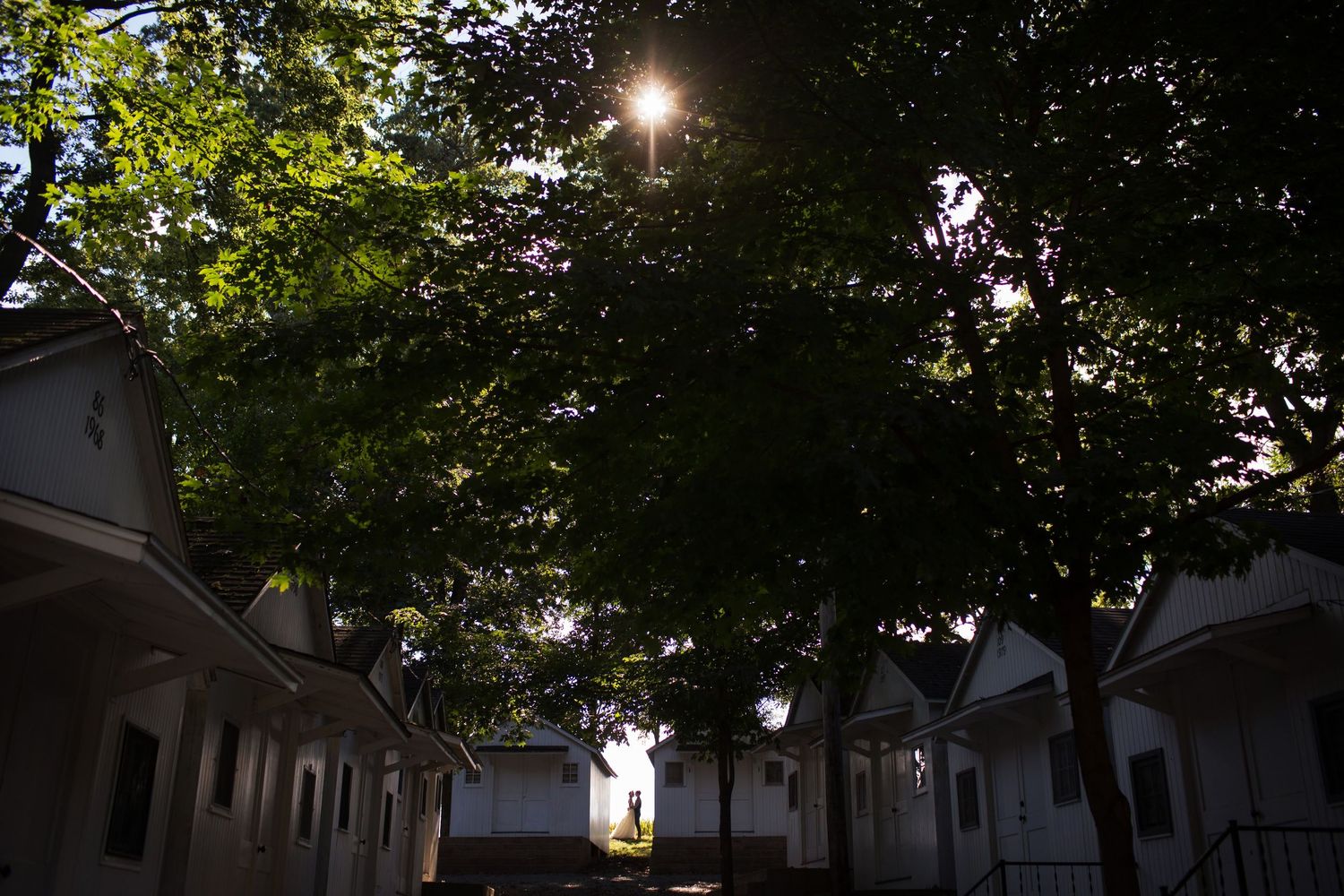 Sunlight peeks through tree canopy over white cottages creating dramatic shadows.