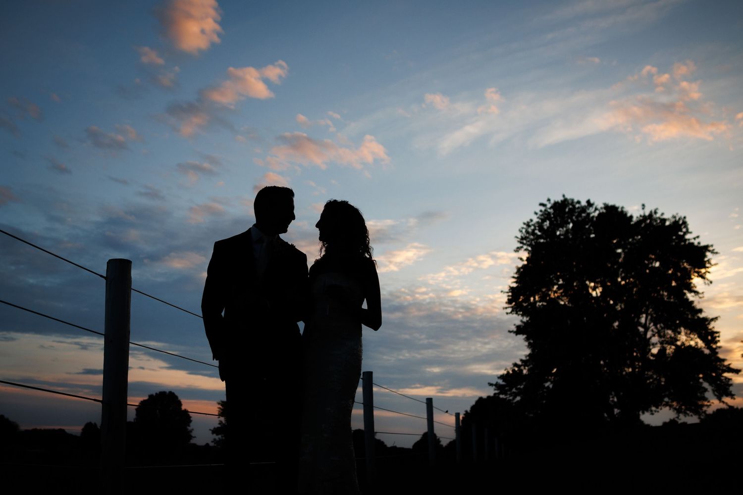Silhouette of a romantic couple standing together at sunset with a colorful sky and tree in the background.