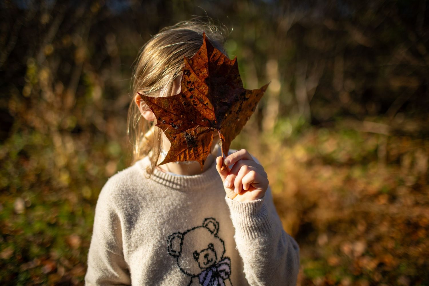 Person wearing a cream colored sweater in warm autumn sunlight among trees.