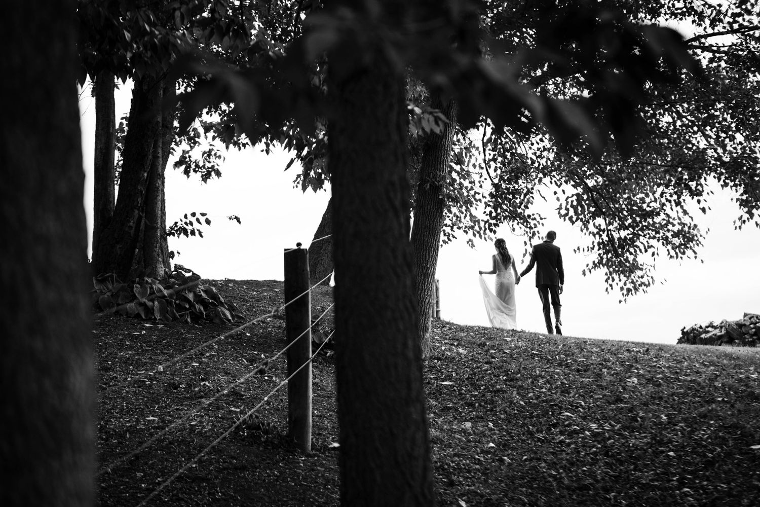 A silhouetted couple stands on a hilltop framed by trees in a moody black and white photograph.