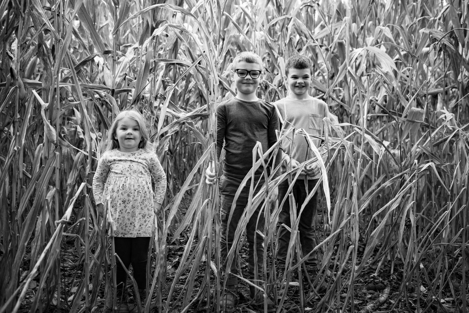 A group poses together in a cornfield during autumn with tall stalks creating a natural backdrop.