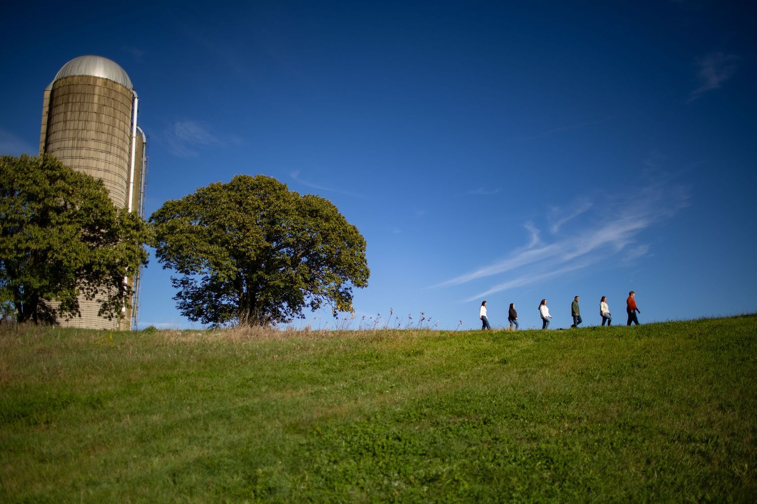 A group of silhouetted figures walk along a grassy hilltop near a tall farm silo against a bright blue sky.